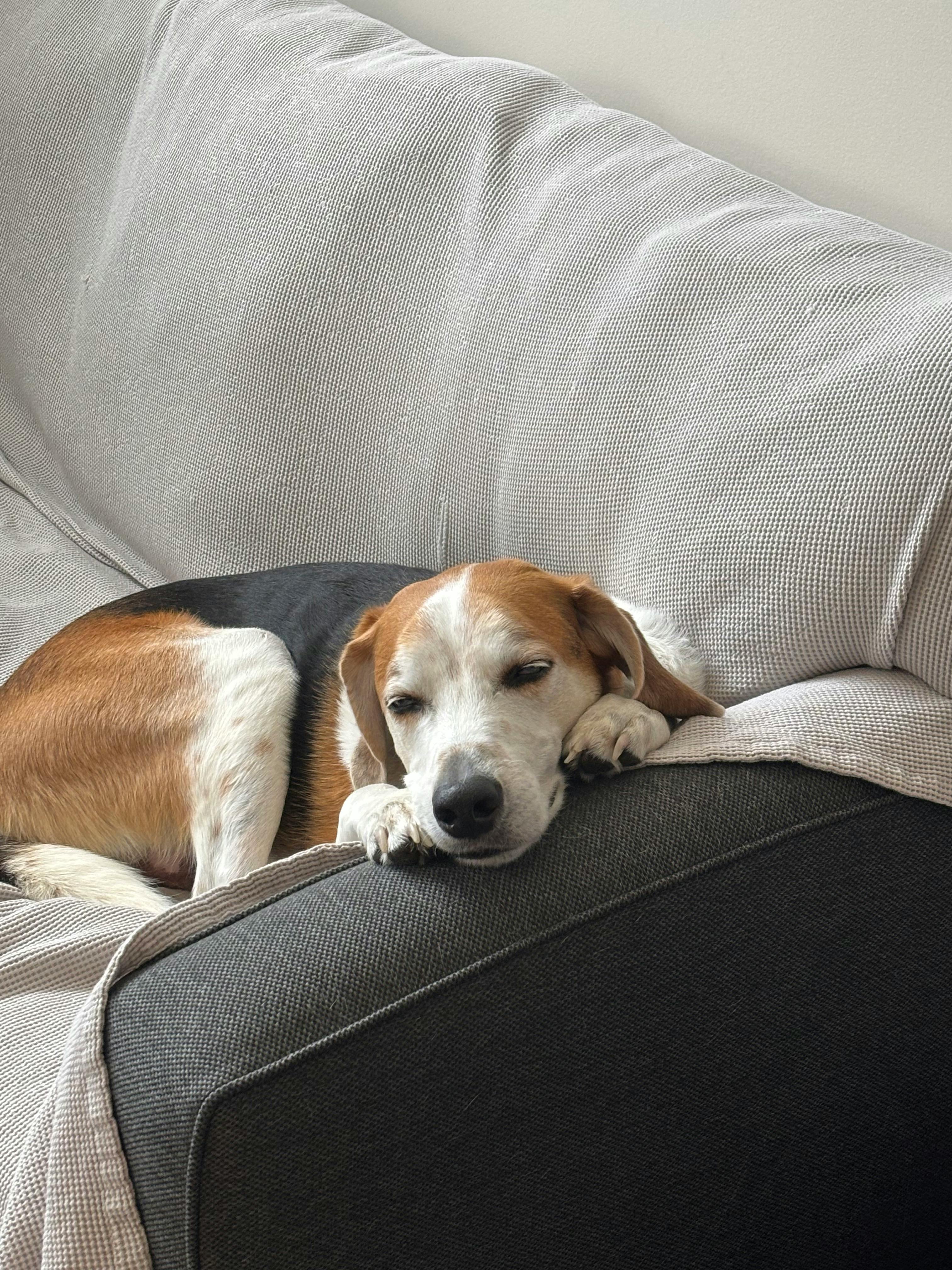 user avatar image for Jordan