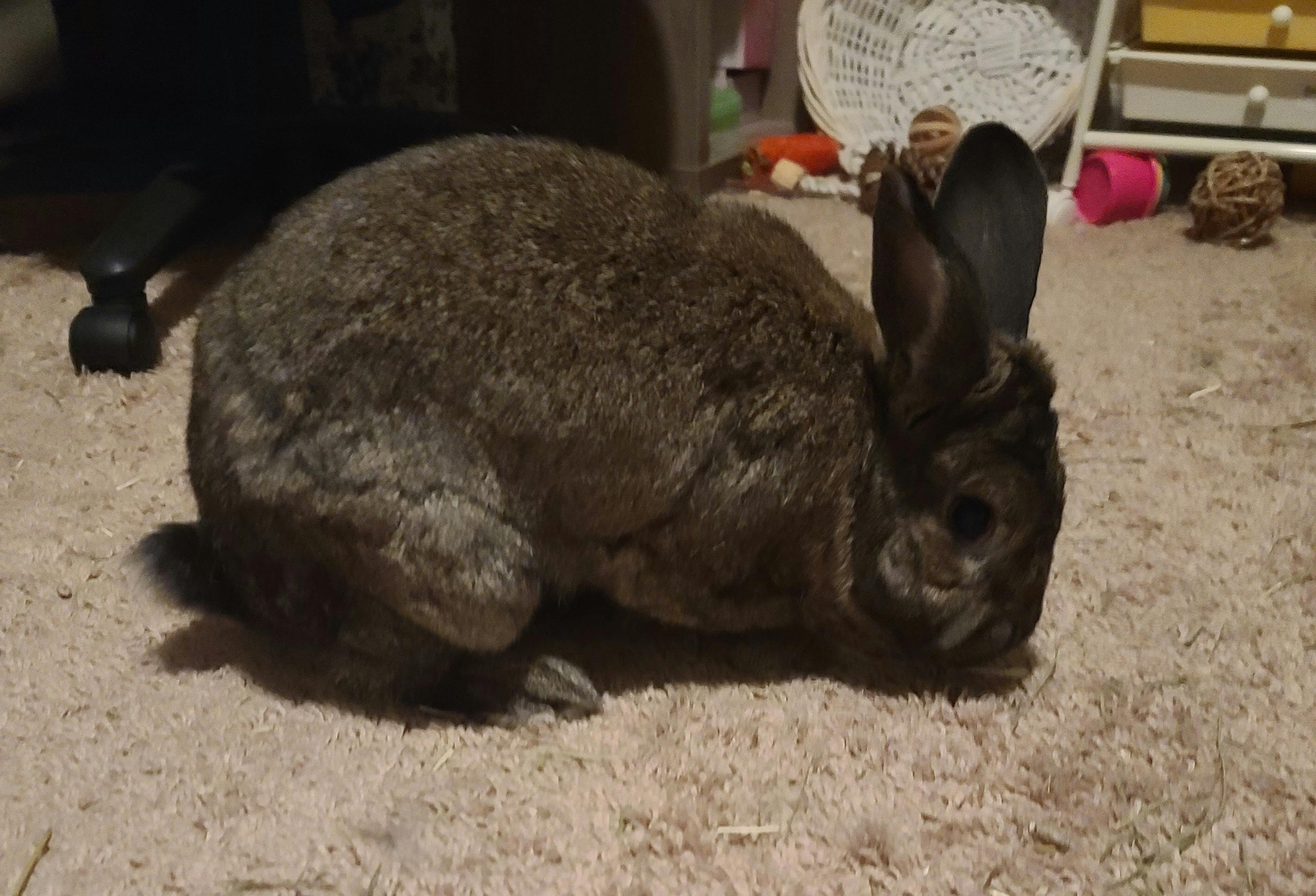 user avatar image for Kai