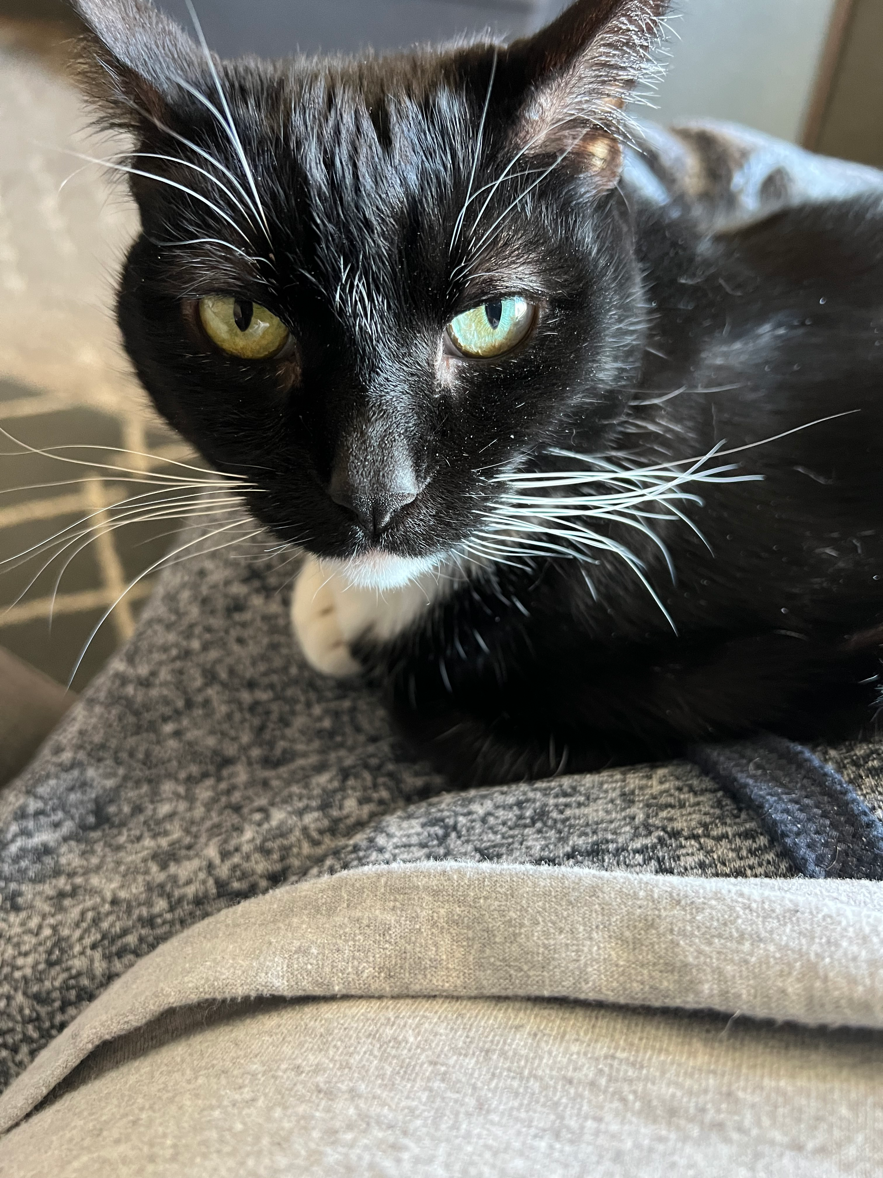 user avatar image for Derek