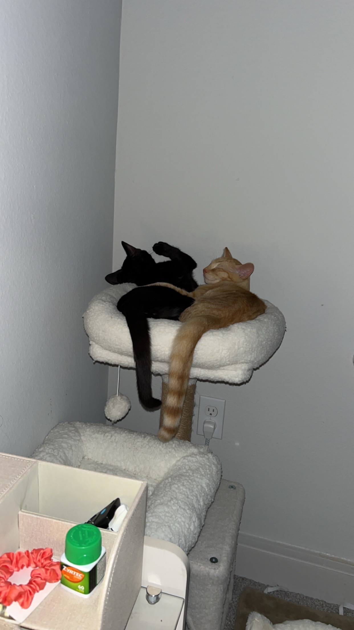 user avatar image for Elizabeth Karp Hauser