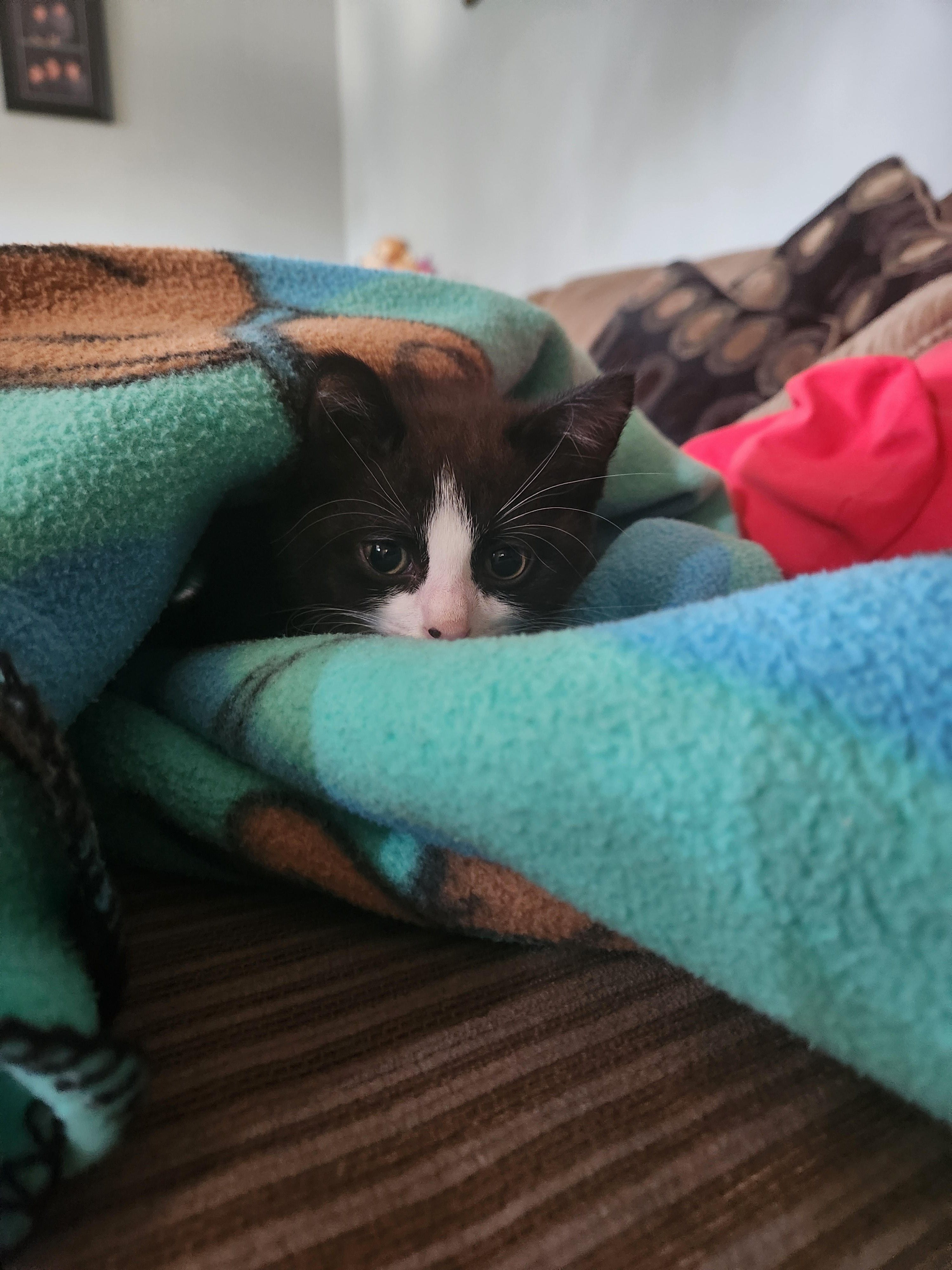 user avatar image for Miguel