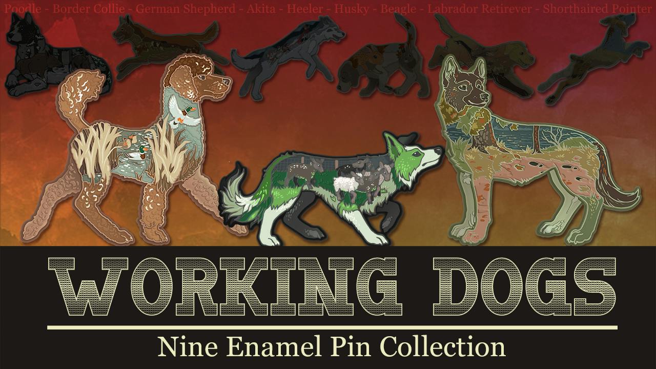 project cover image