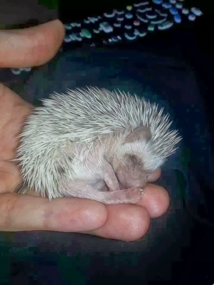 user avatar image for David Vann 