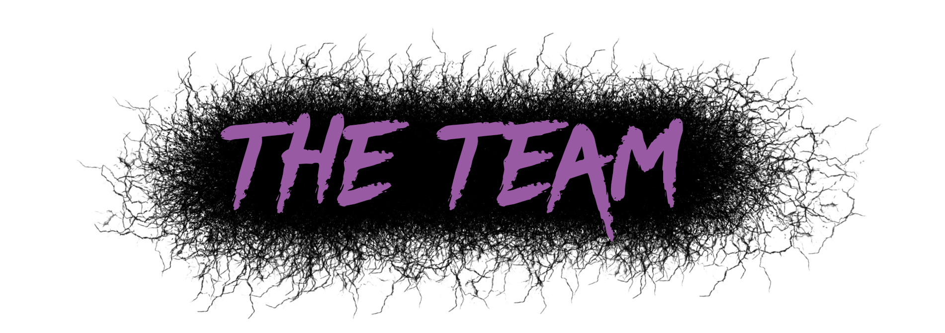 The Team header.