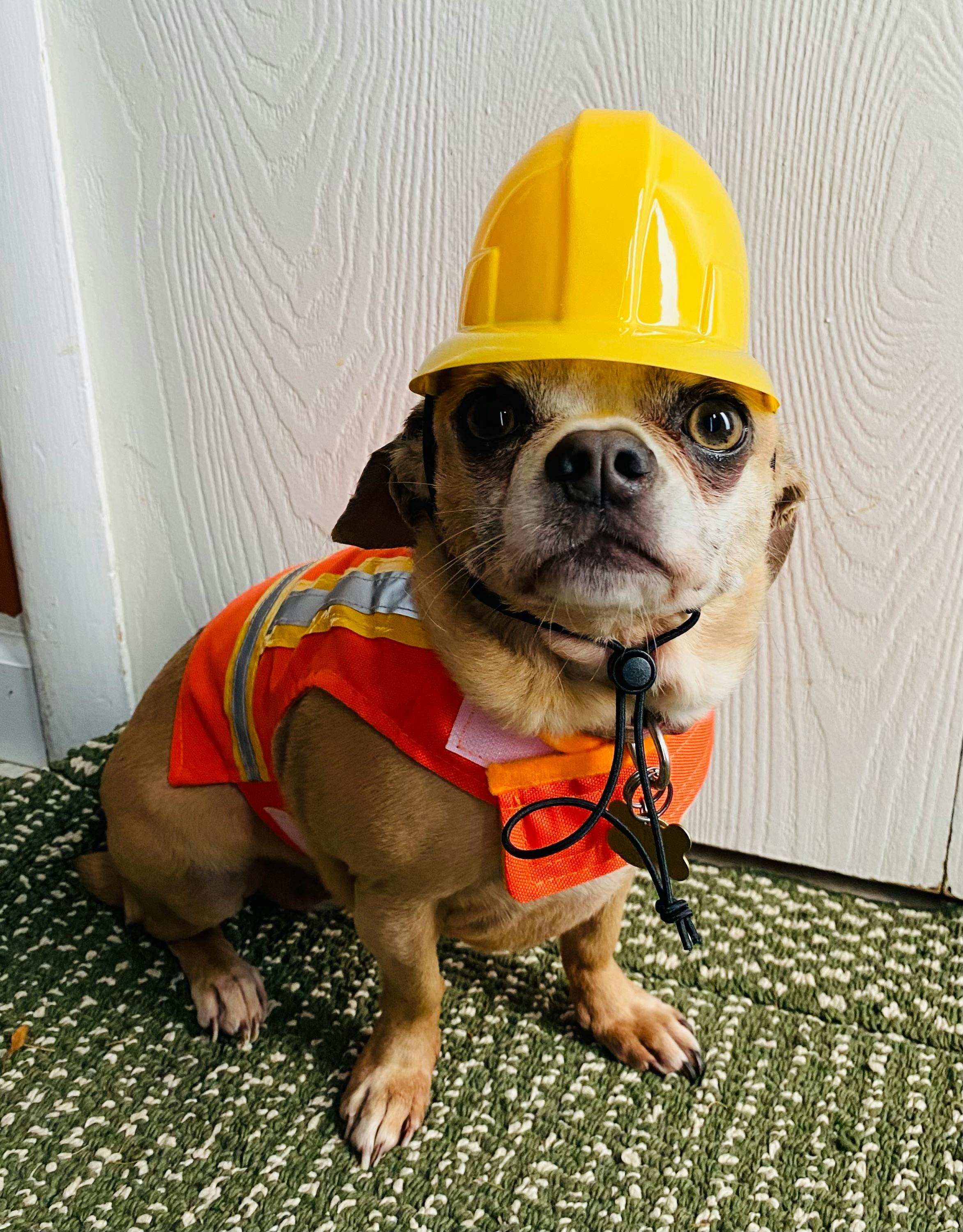 user avatar image for Jennifer Smith