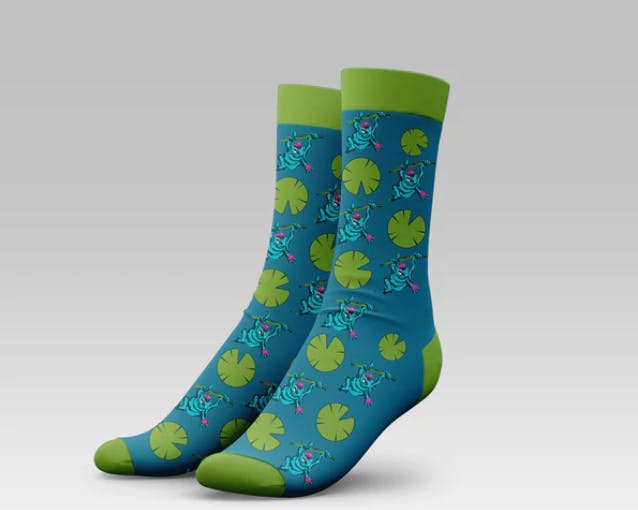 Frog Socks - Water Biome