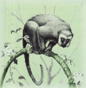 user avatar image for Vaughn Wiernicki