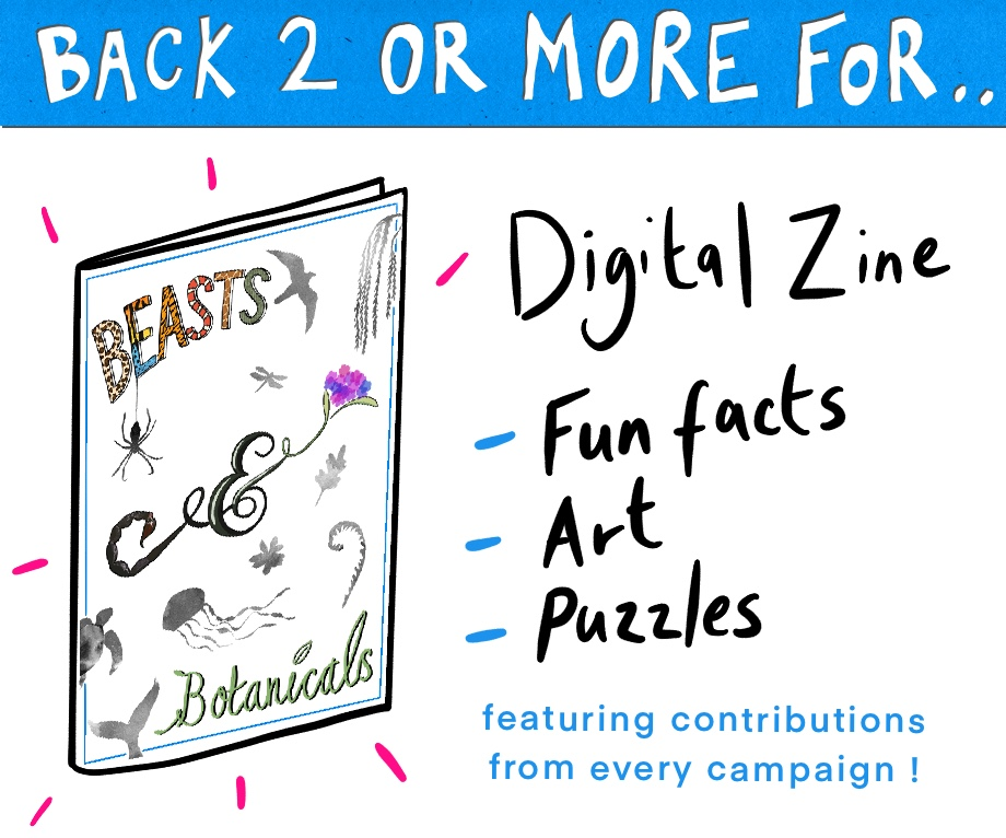 Back two or more campaigns for a free digital zine that includes fun facts, art and puzzles, featuring contributions from every campaign creator.https://www.backerkit.com/c/collections/beasts-and-botanicals