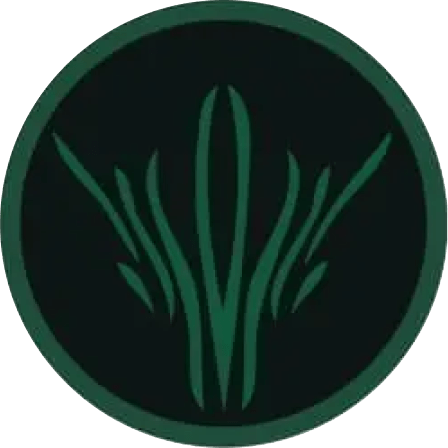 user avatar image for JavierPrD