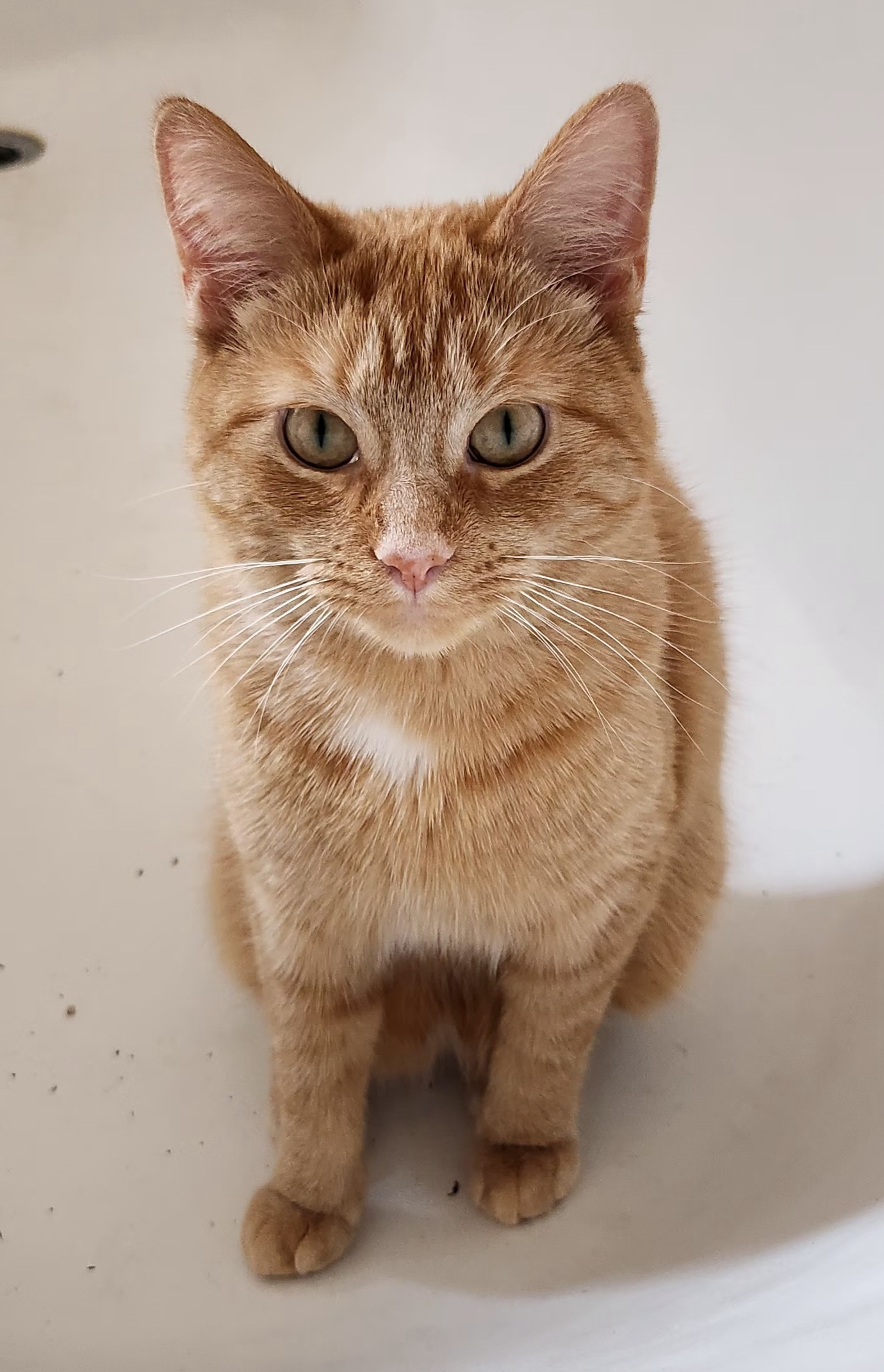 user avatar image for Breanna Magallones