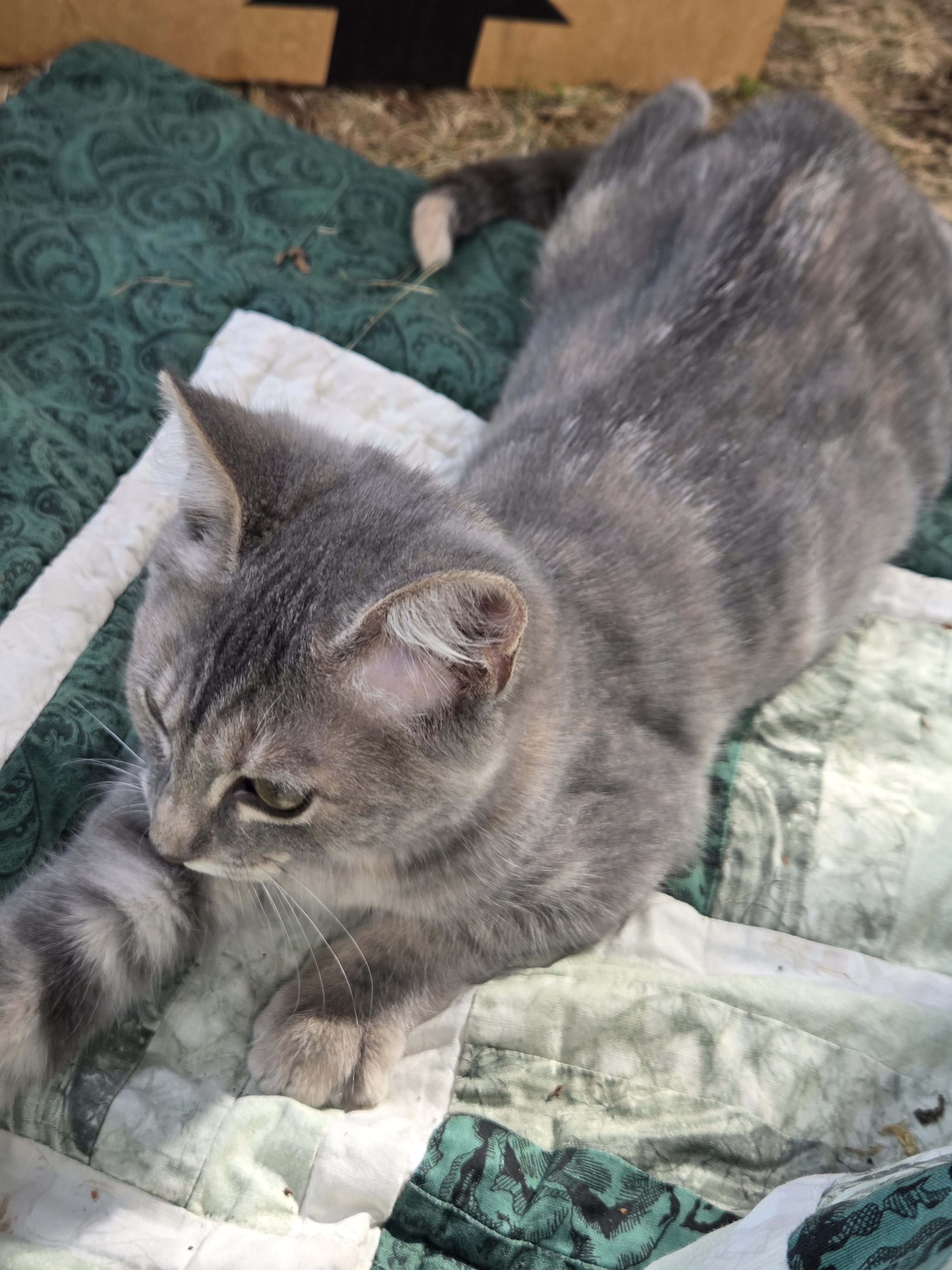 user avatar image for Kaelie