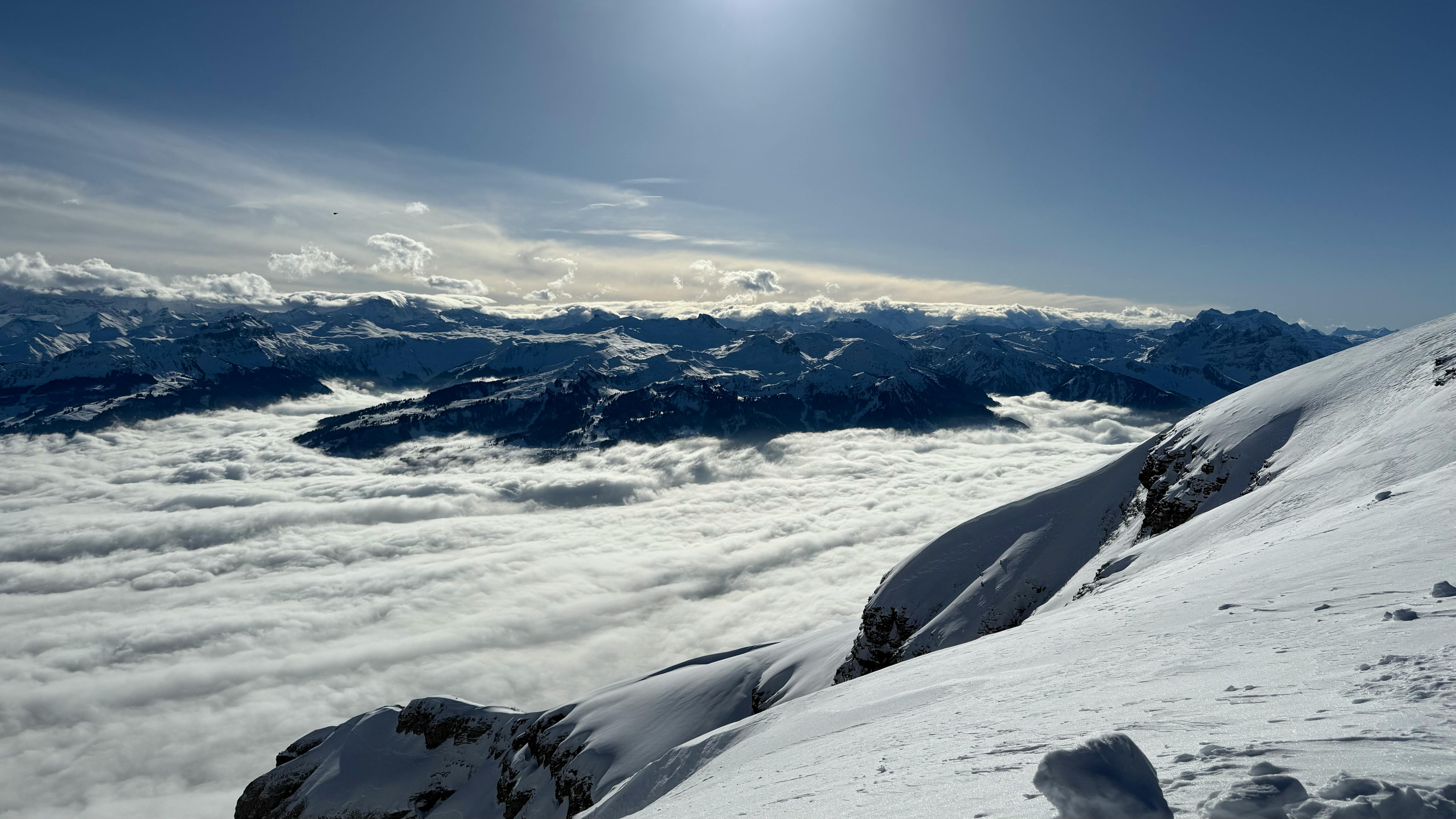 user avatar image for Dario