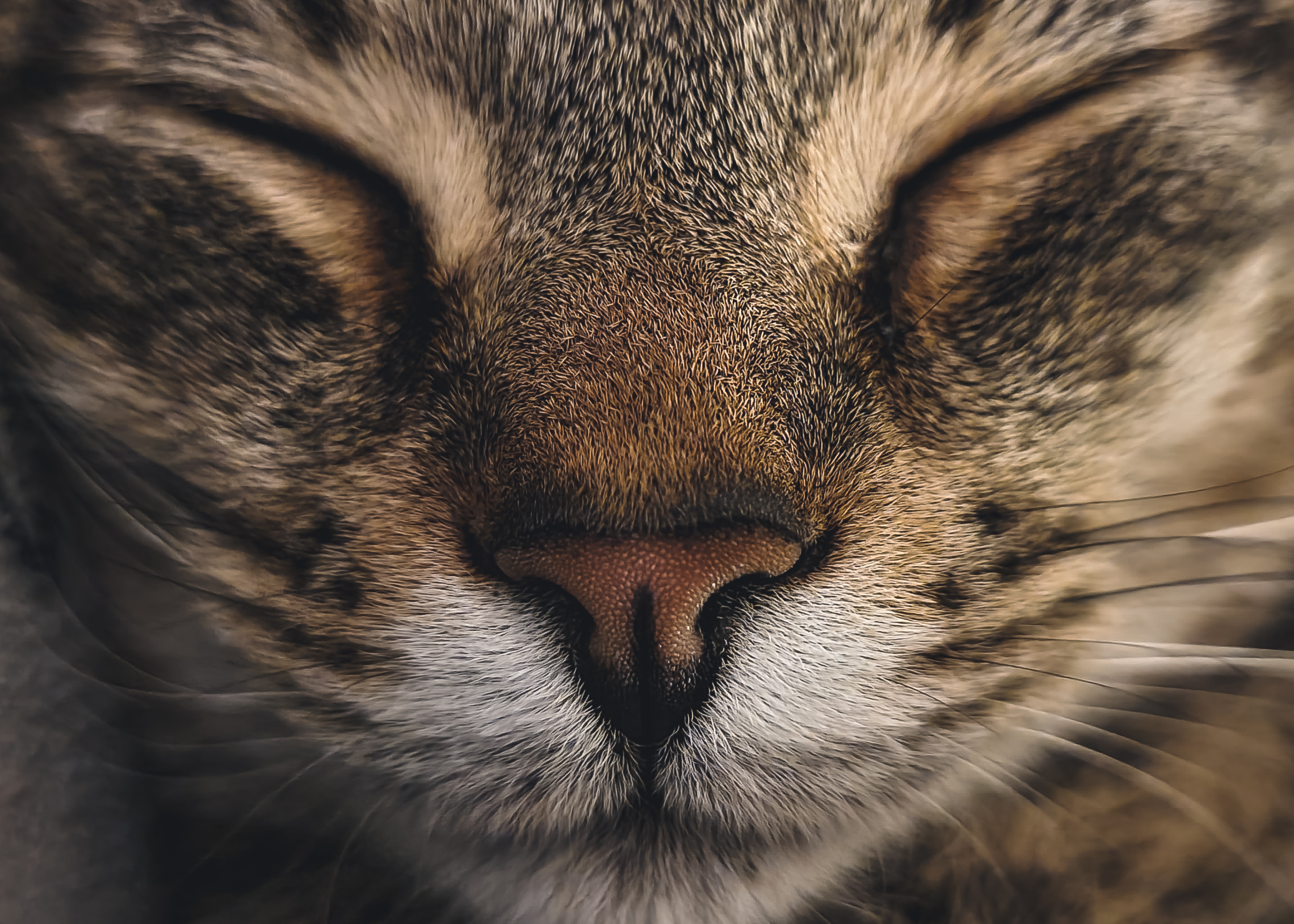 user avatar image for Austine