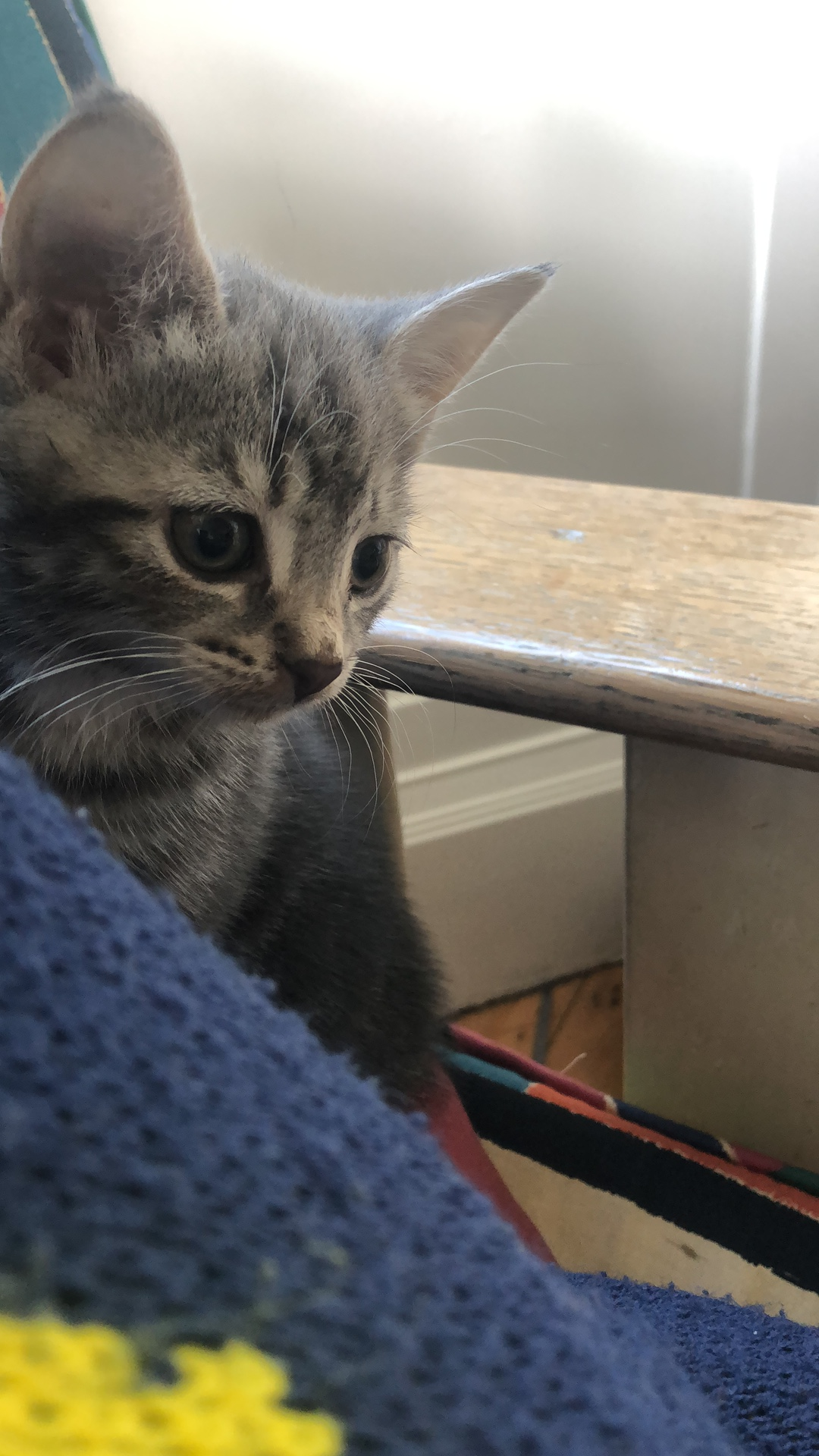 user avatar image for Bee Paechter