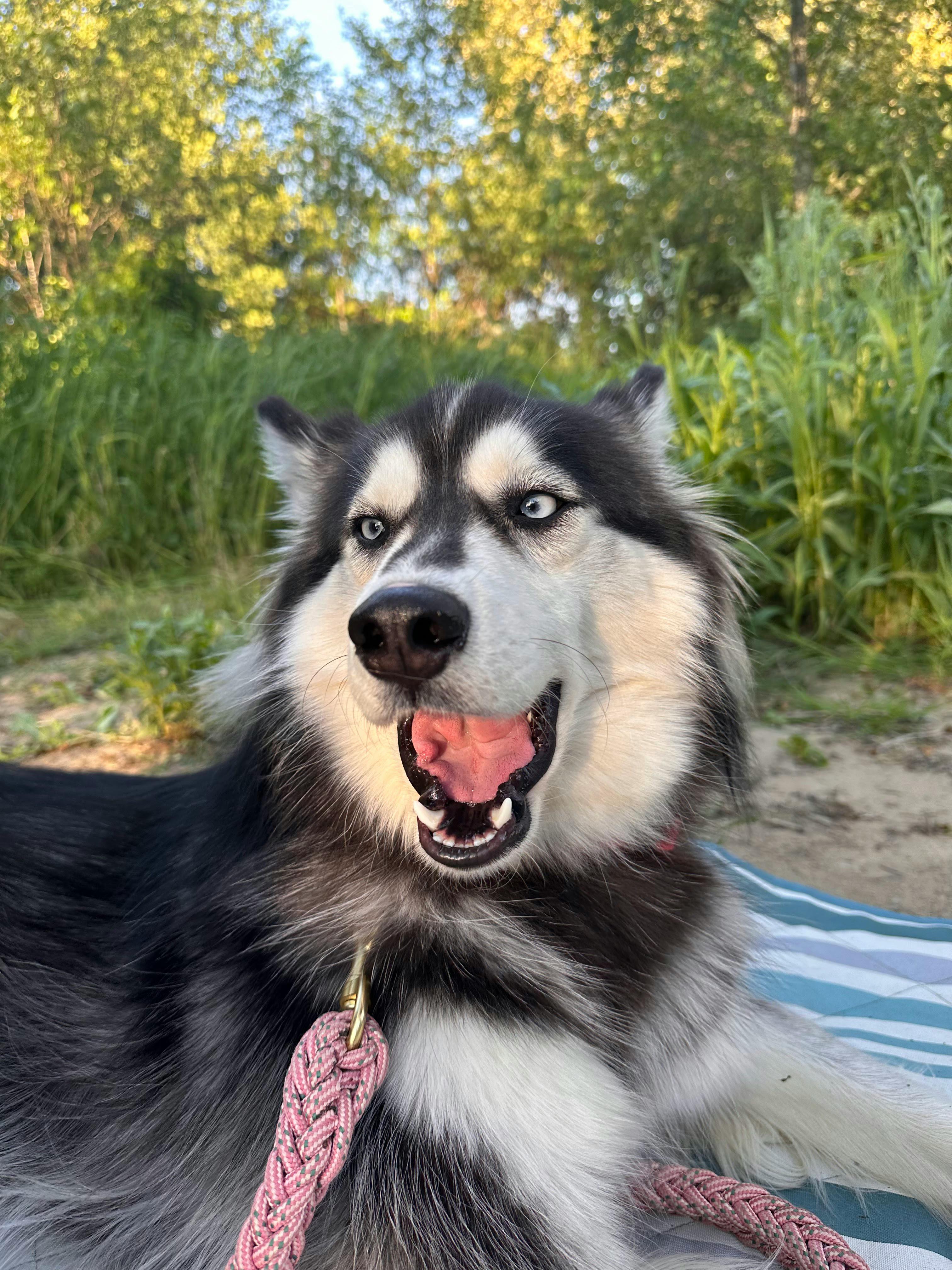 user avatar image for jazzz