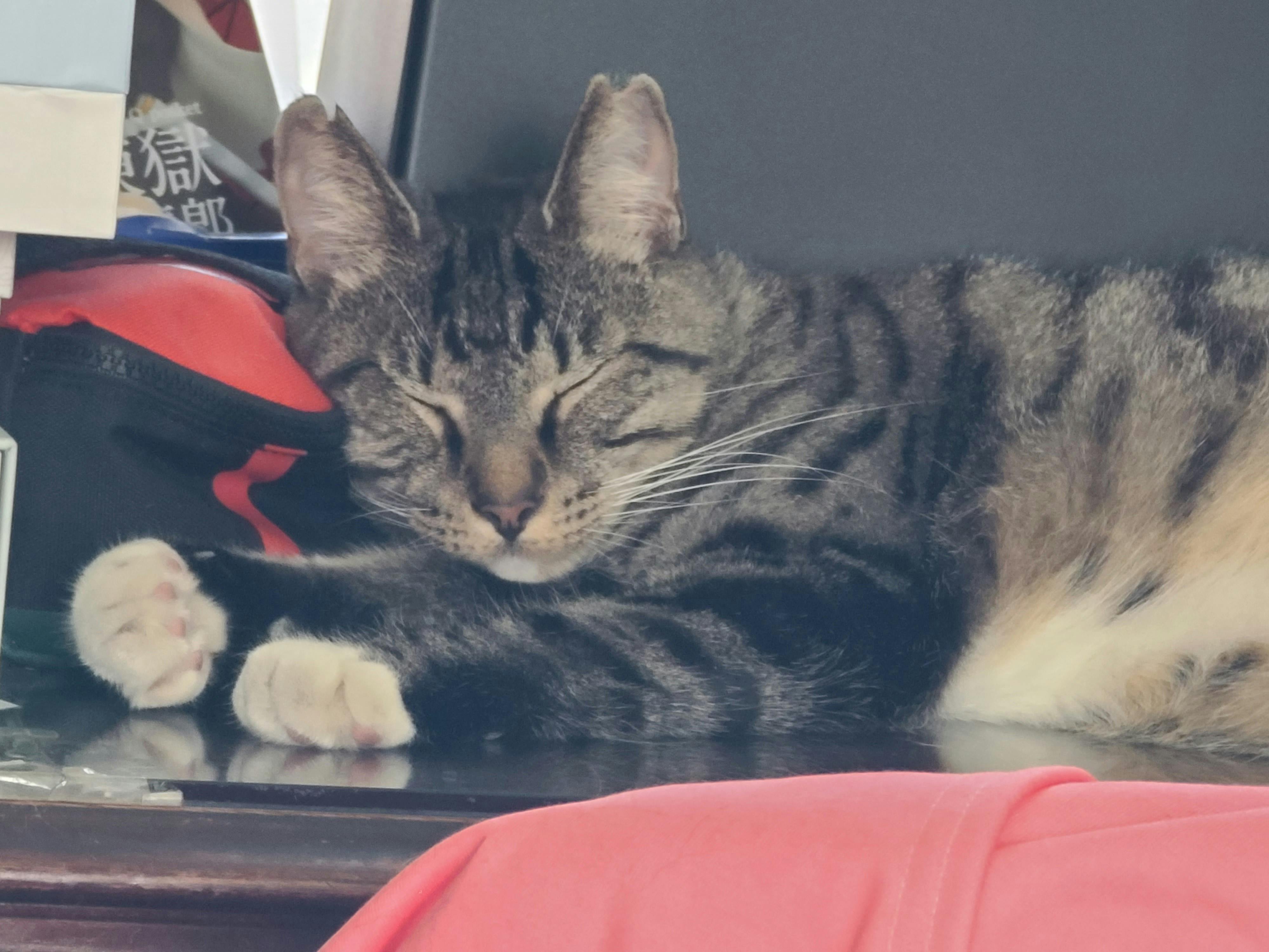 user avatar image for Li Howe