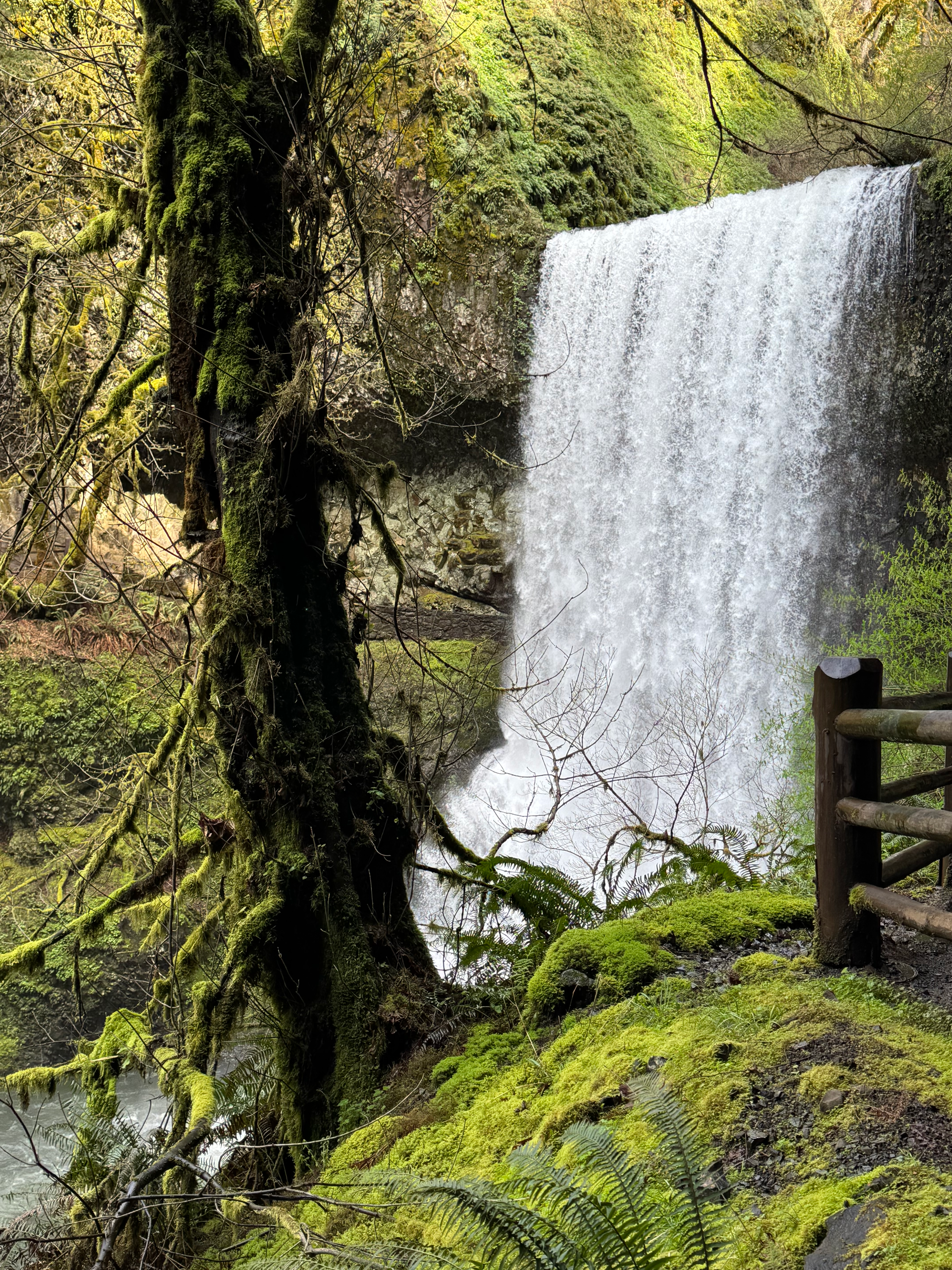 user avatar image for D