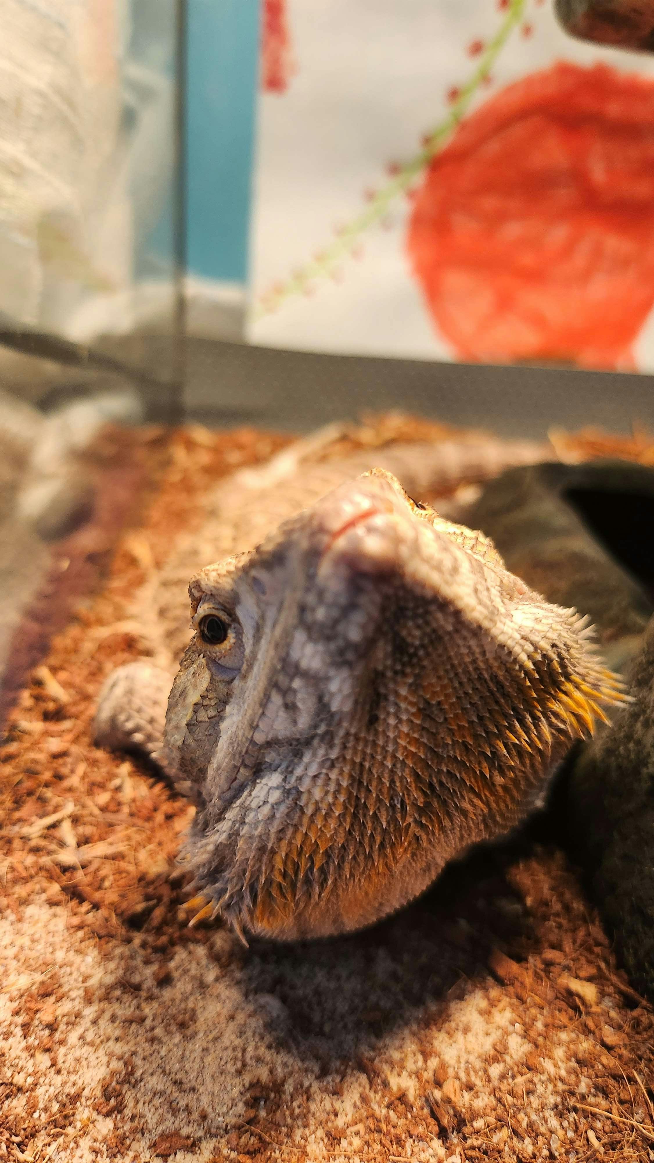 user avatar image for Mykah Byrd