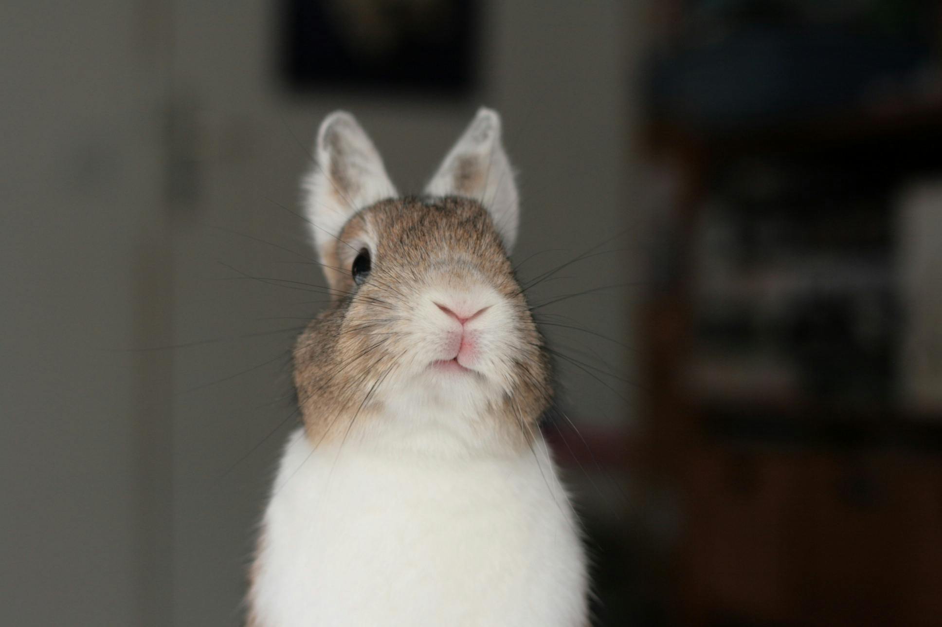 user avatar image for Corlosquet