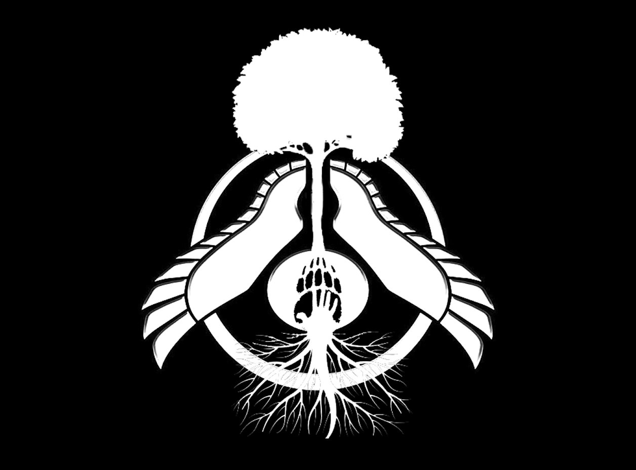 user avatar image for Tehashi