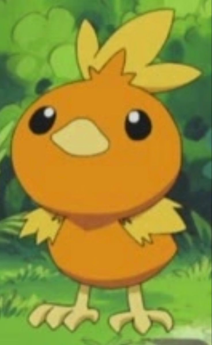 user avatar image for Kyle1612