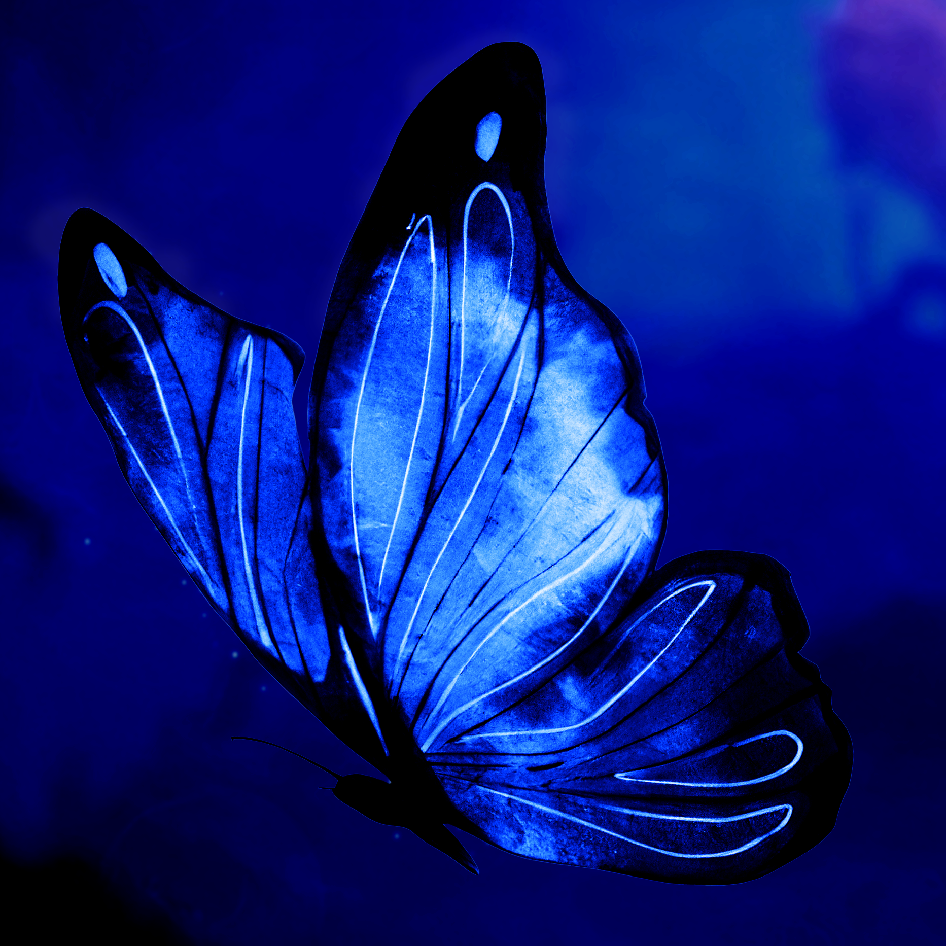 user avatar image for Aethaels