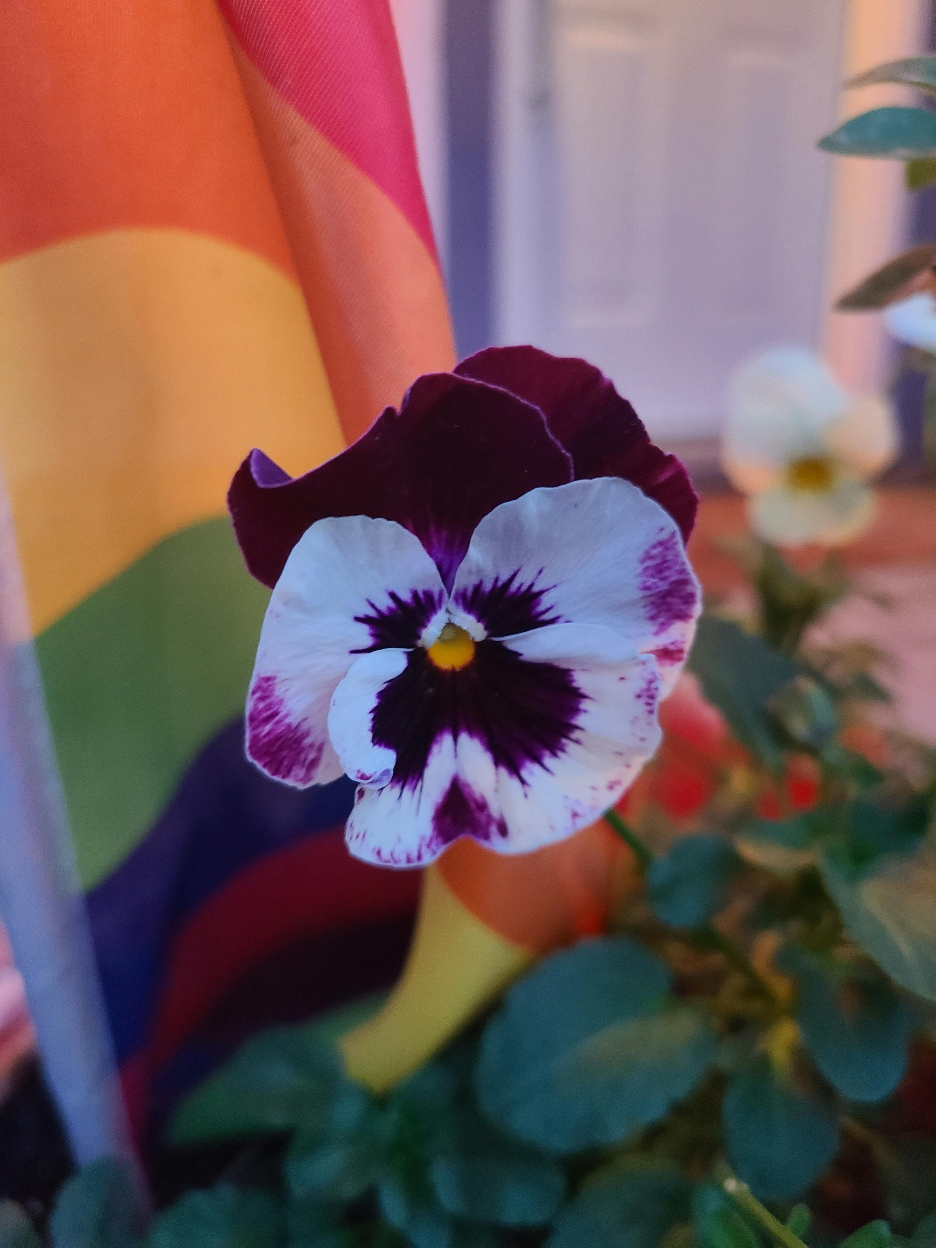 user avatar image for Benjamin Wilson