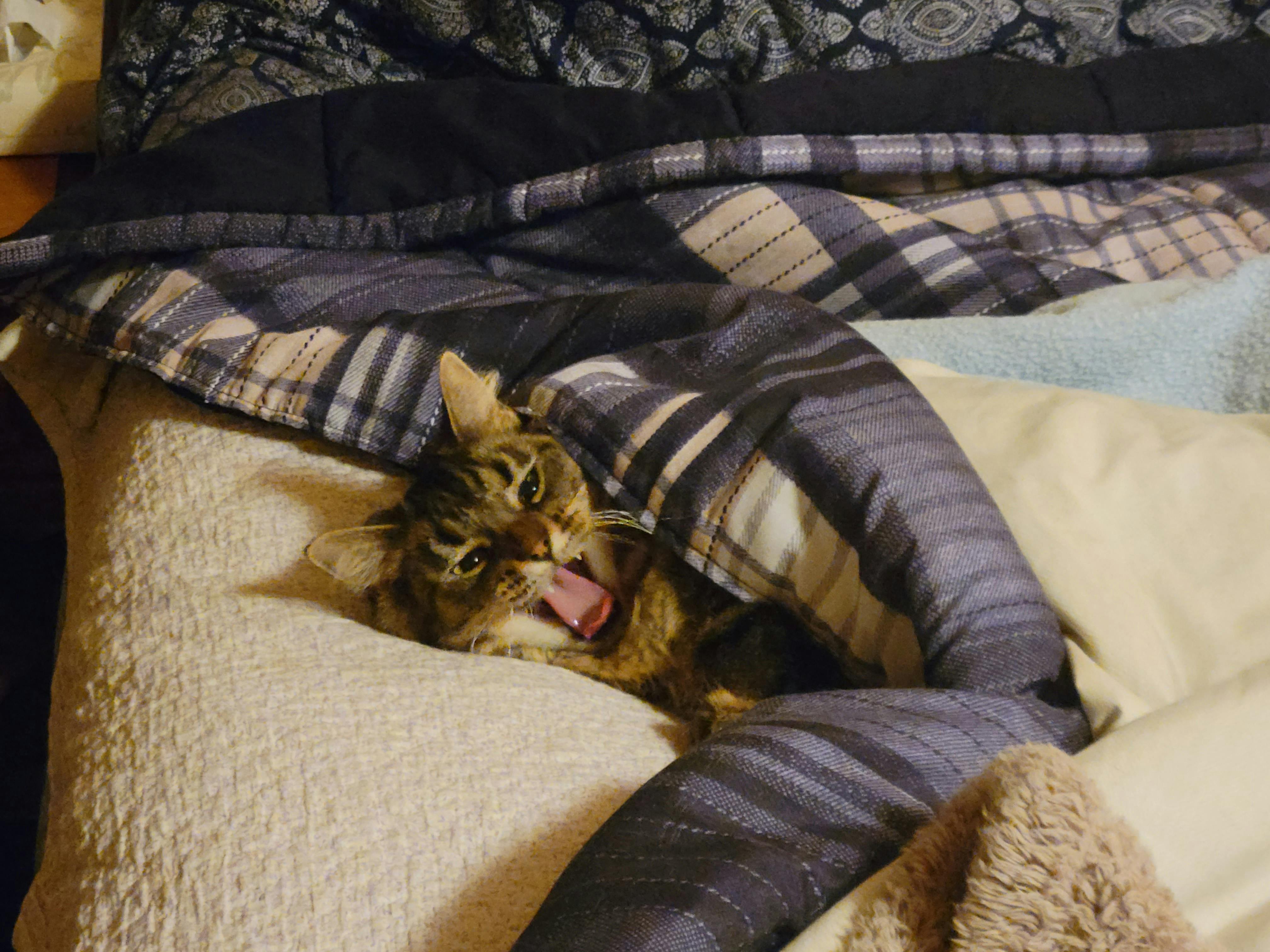 user avatar image for Jessy Jones 