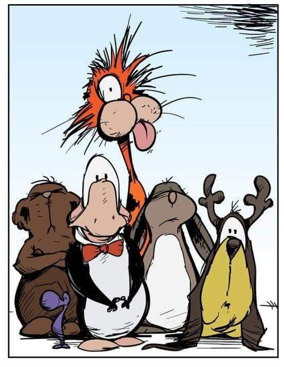 user avatar image for Mark Covey