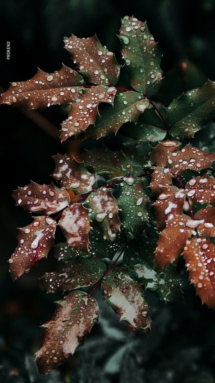 user avatar image for Shelly A.