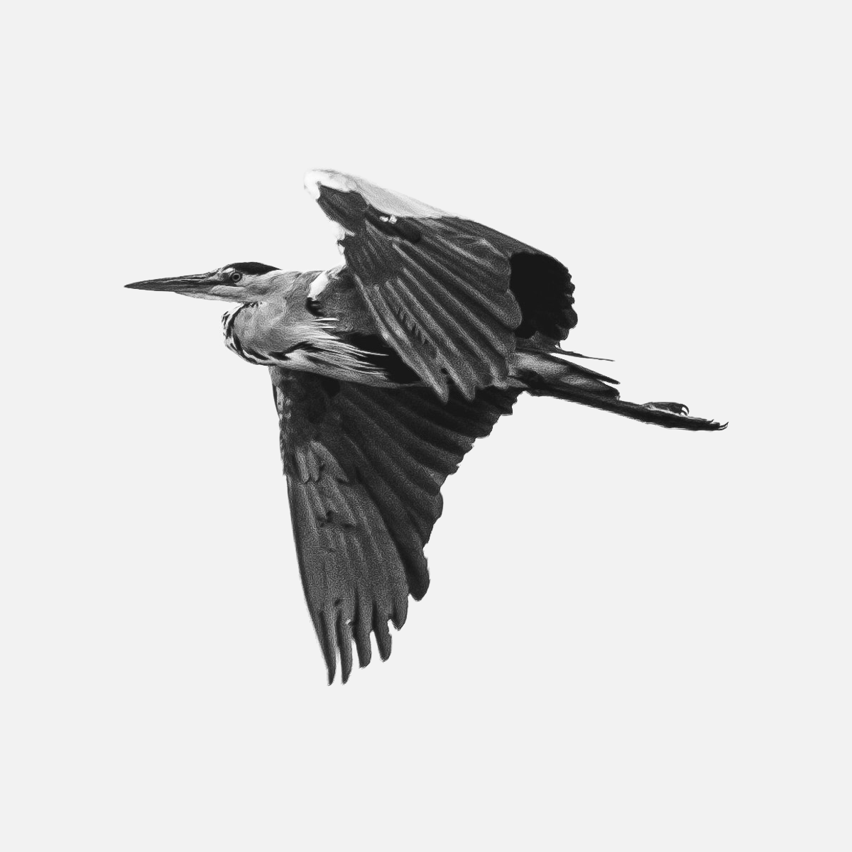 user avatar image for Heronfeld