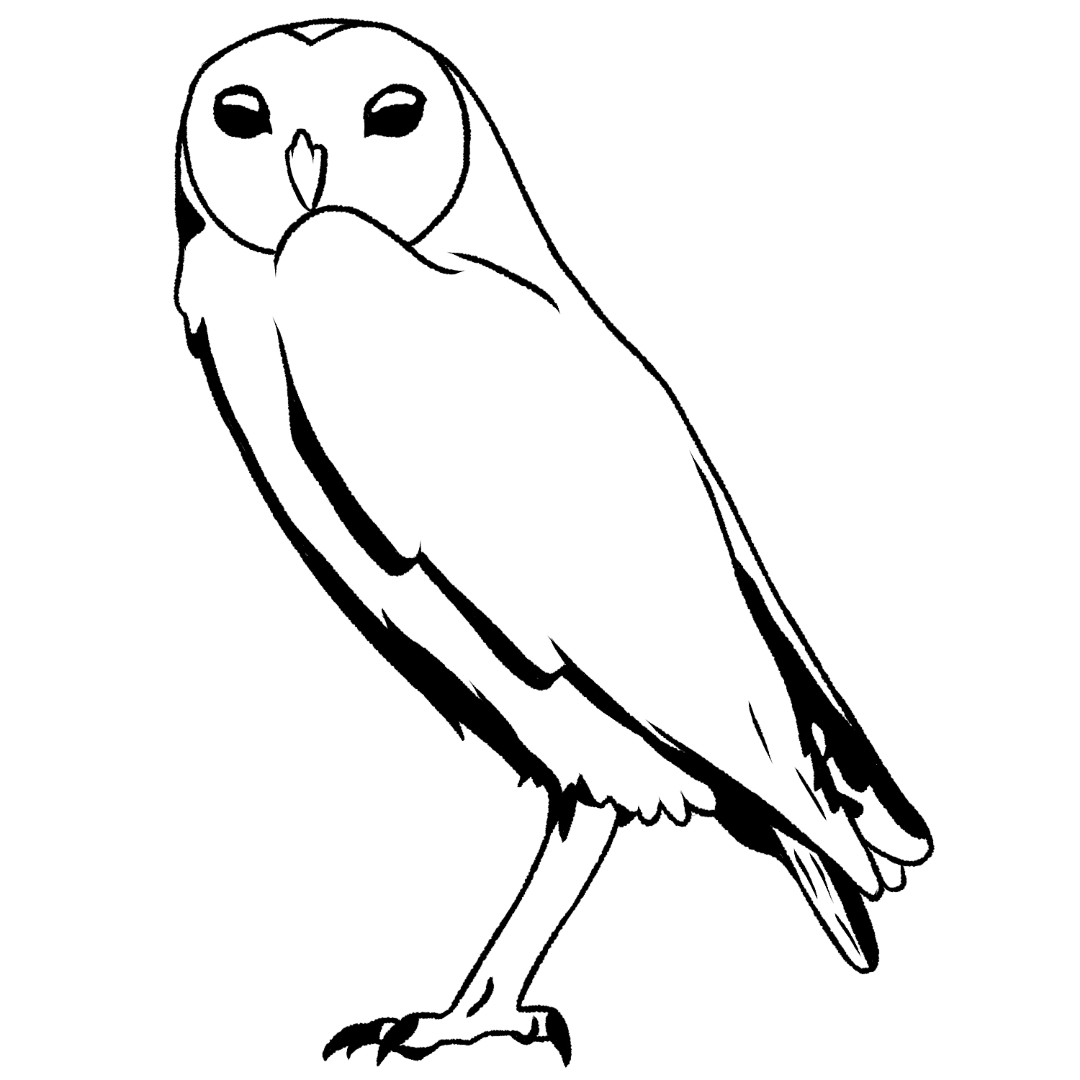 The Strega - The Hexers