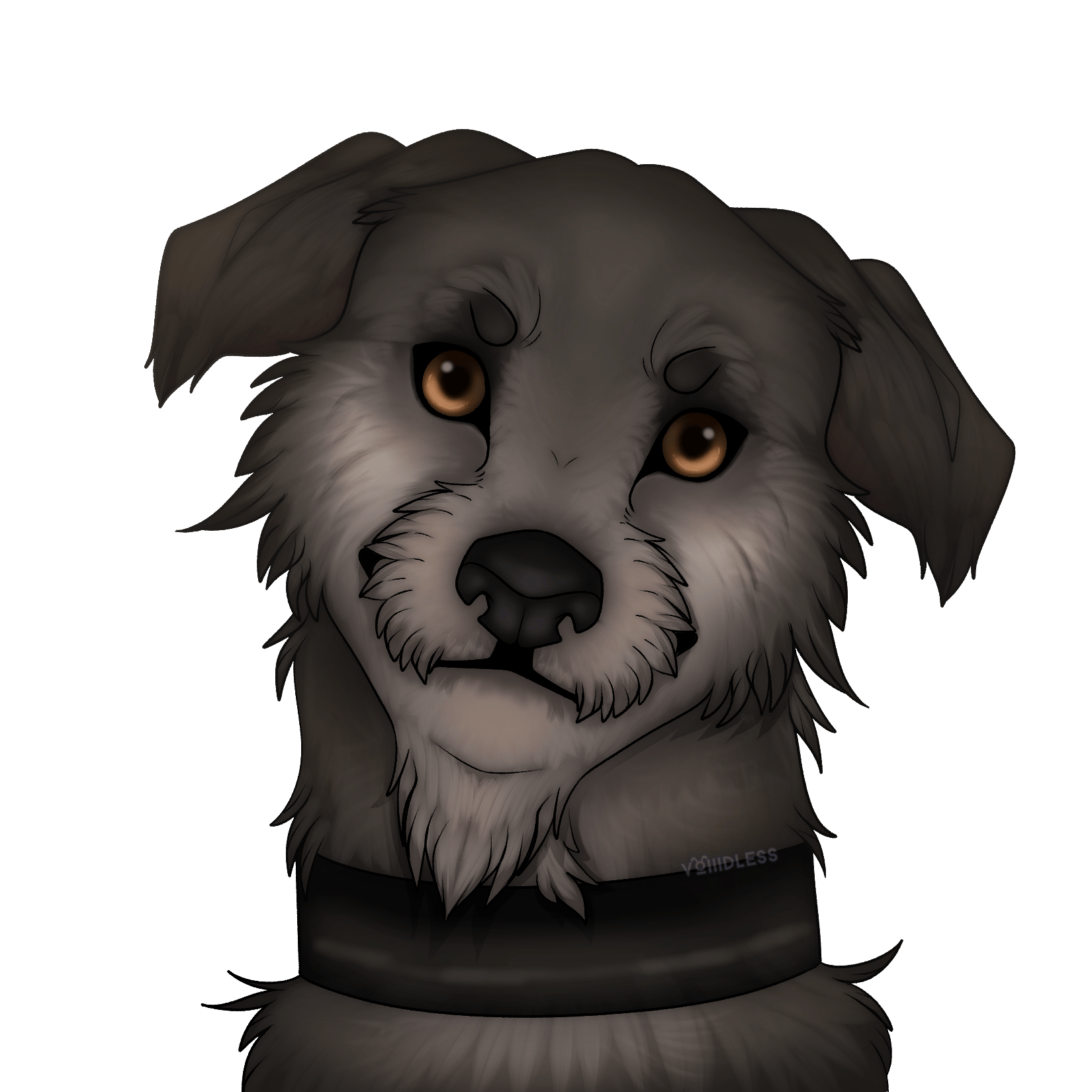 user avatar image for Silver