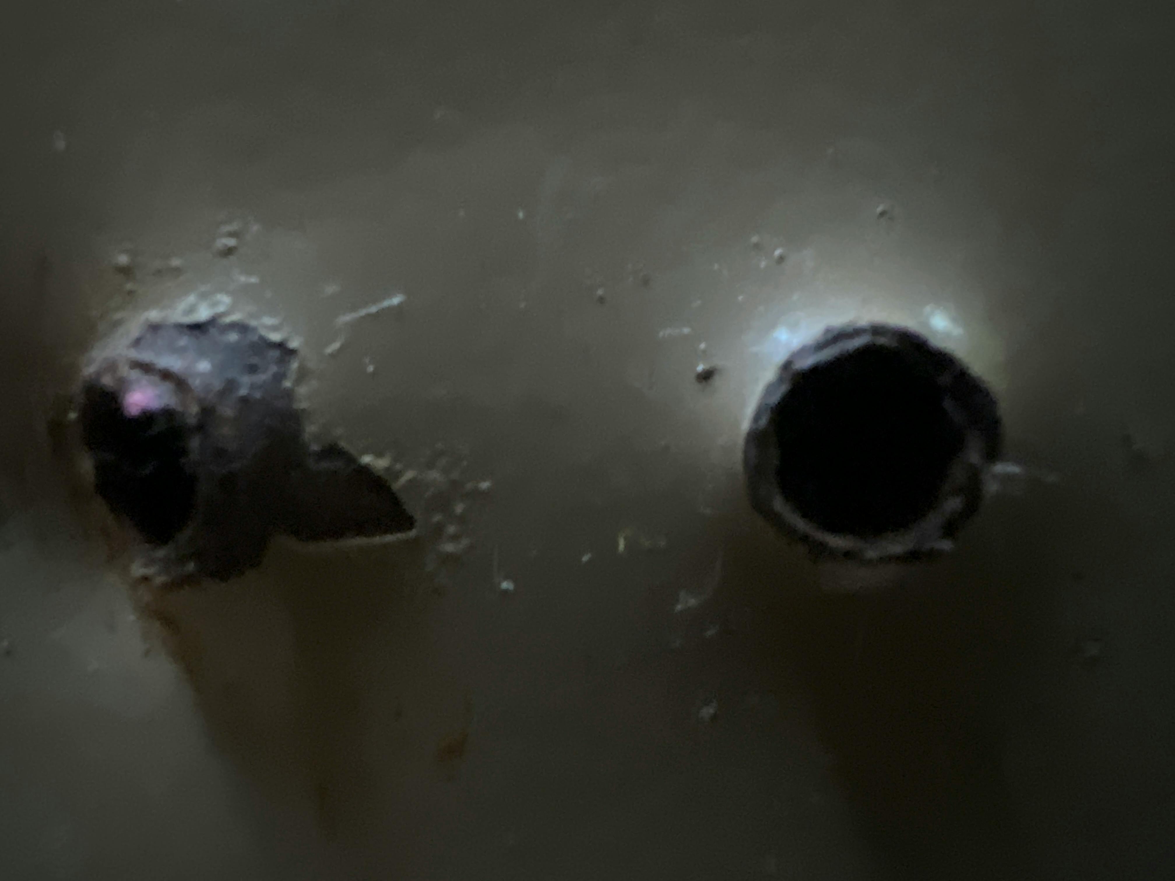 project cover image