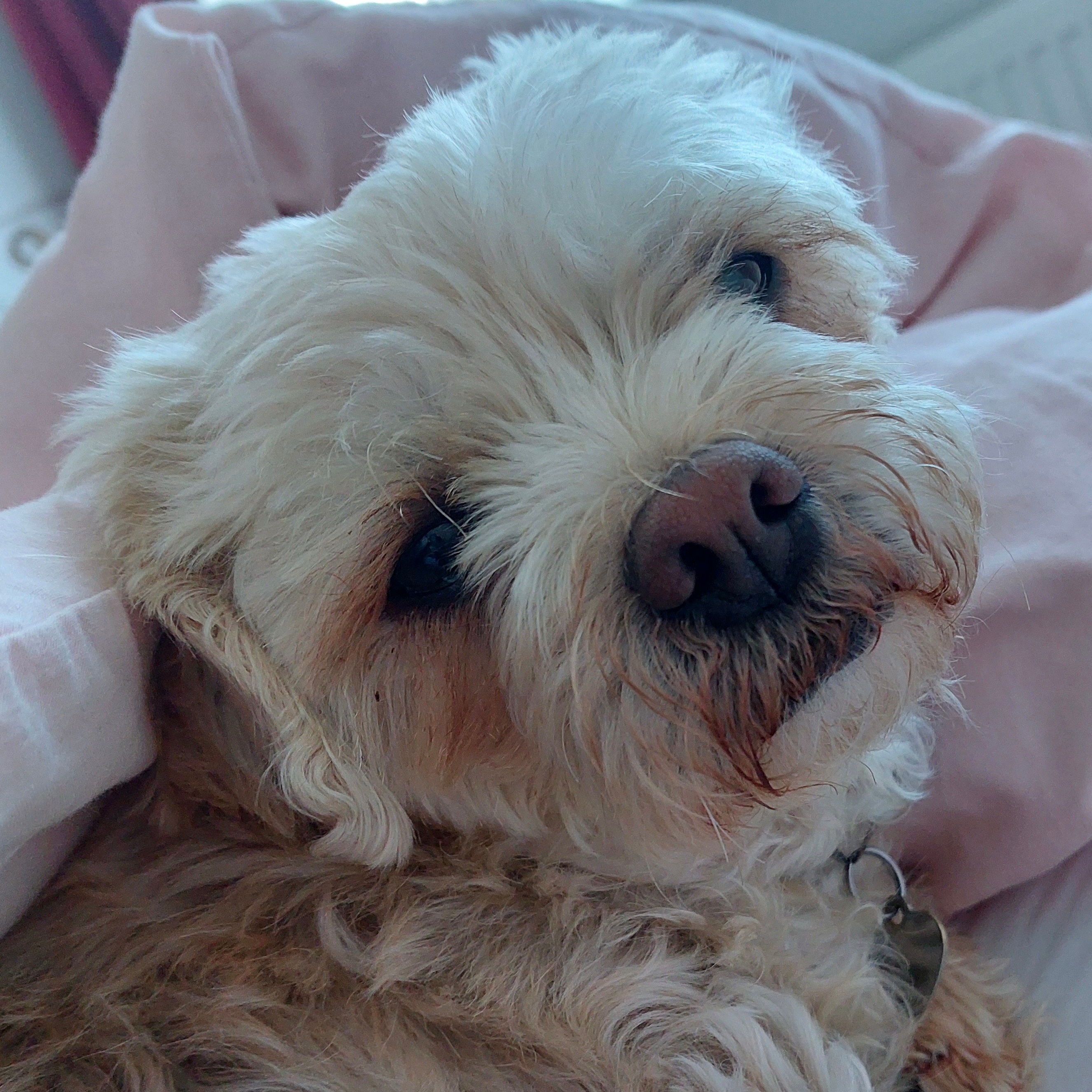 user avatar image for Kelly Richards