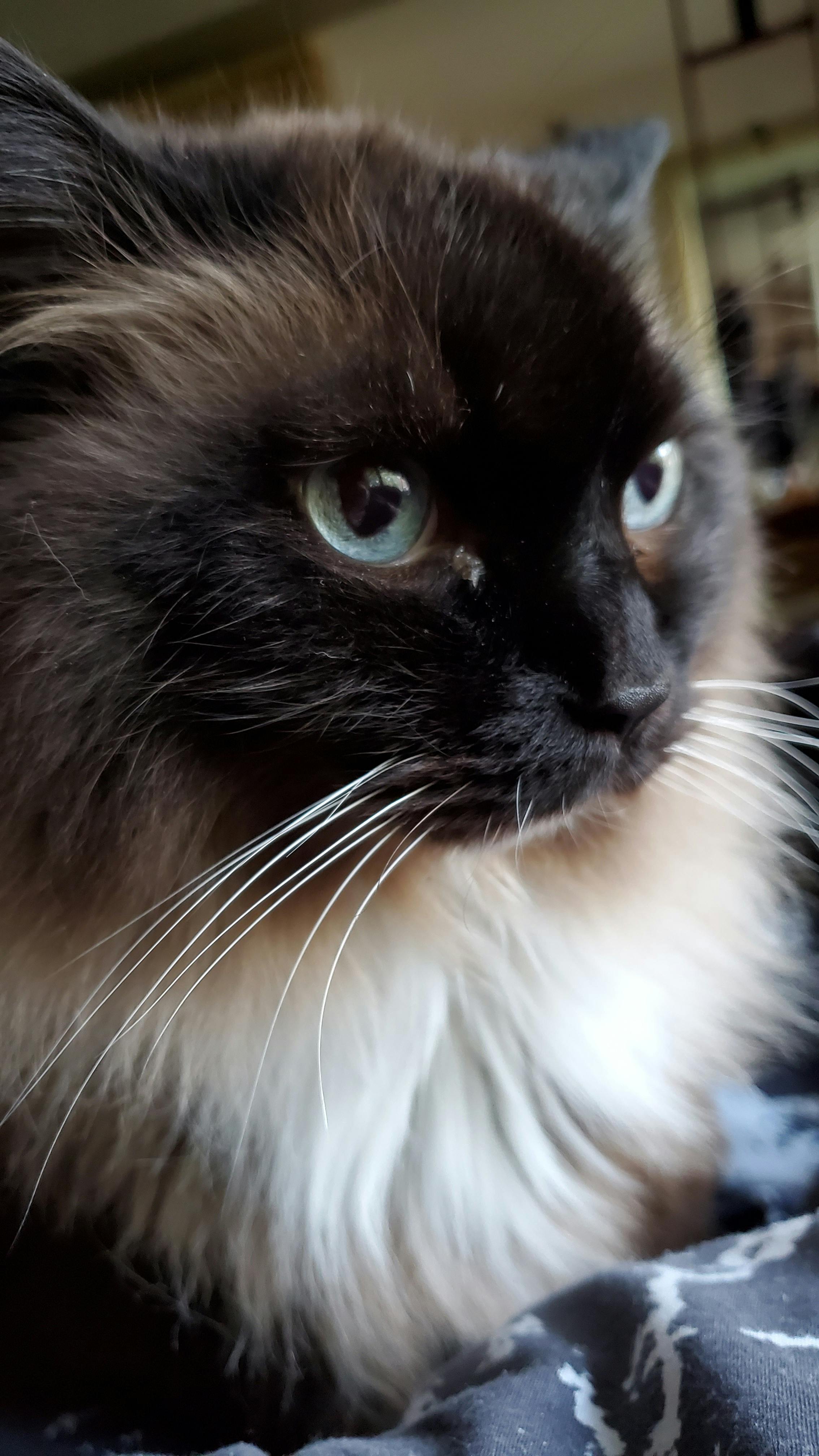 user avatar image for Denz