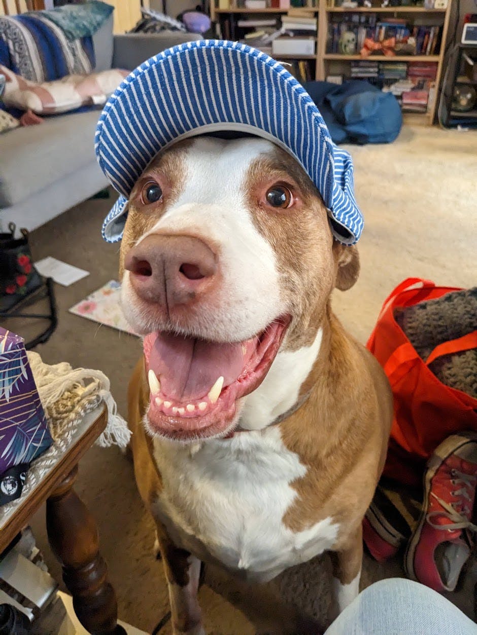 user avatar image for Mary Sue