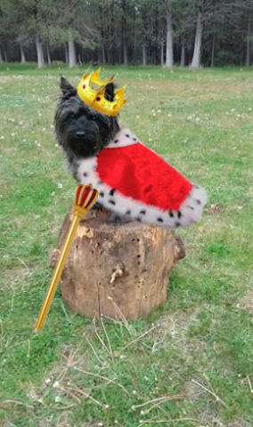 user avatar image for Kevin Turney