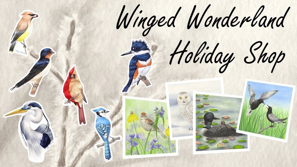winged wonderland holiday shop bird prints and stickers