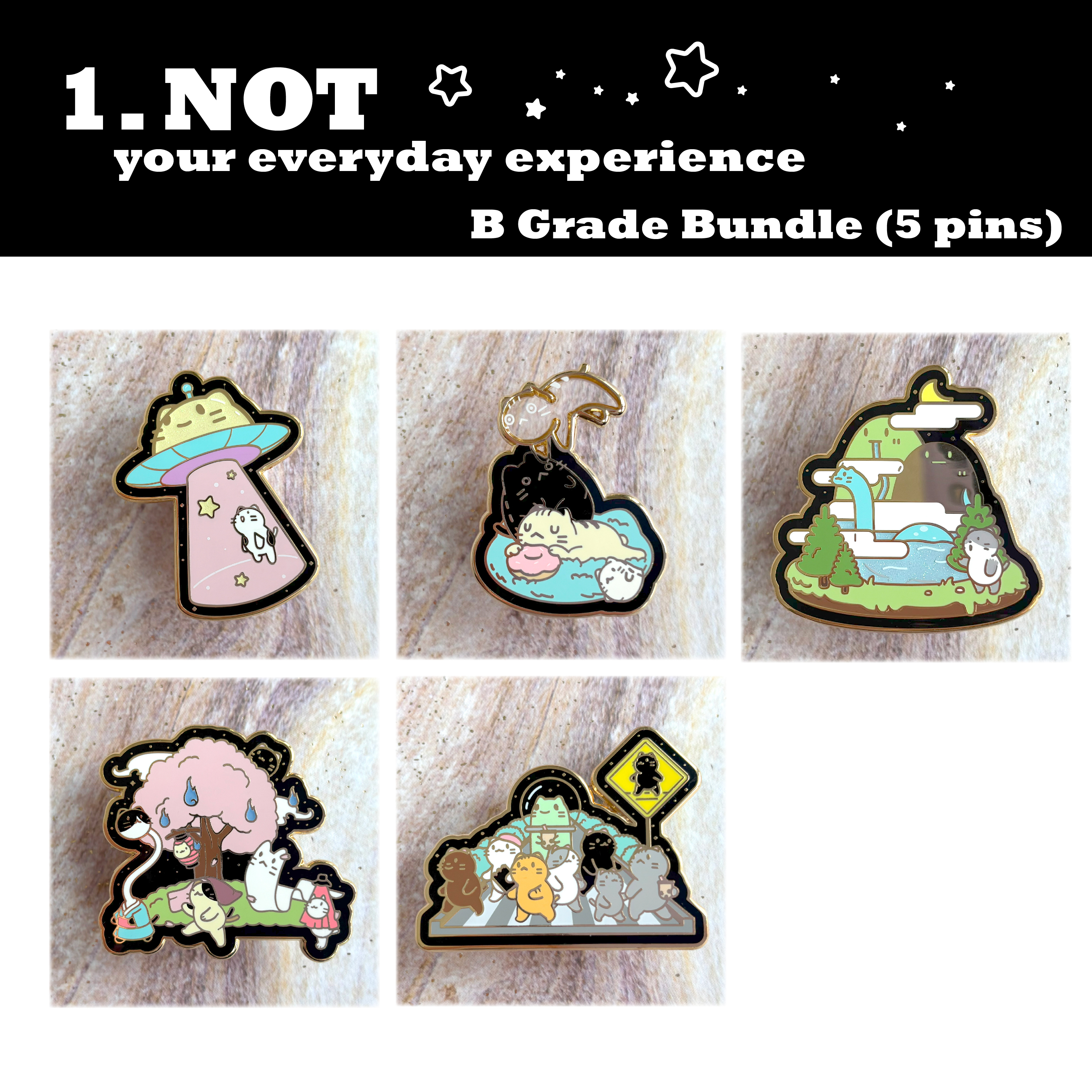Not Your Everyday Experience Hard Enamel Pin B Grade Bundle