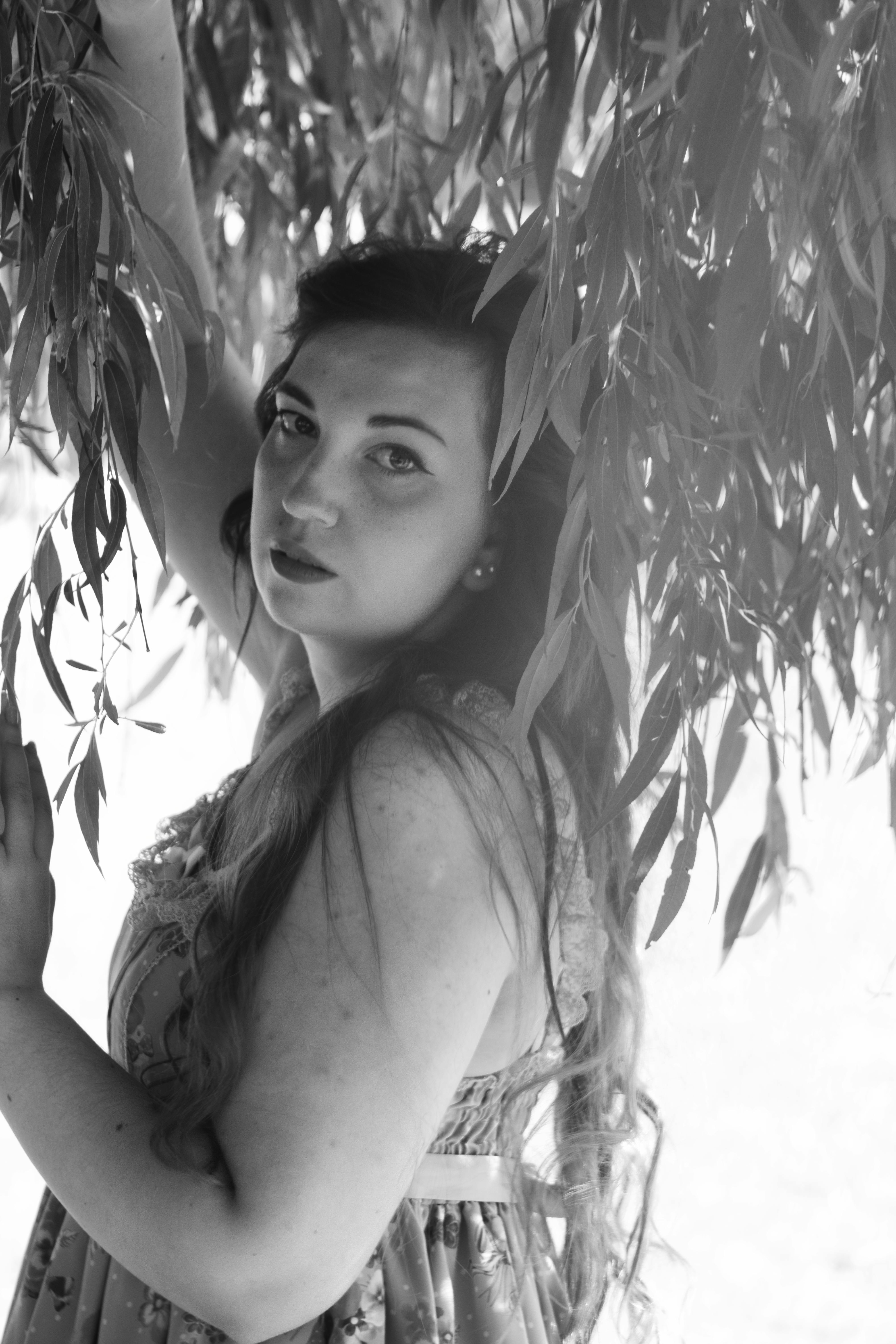 user avatar image for Elonwee