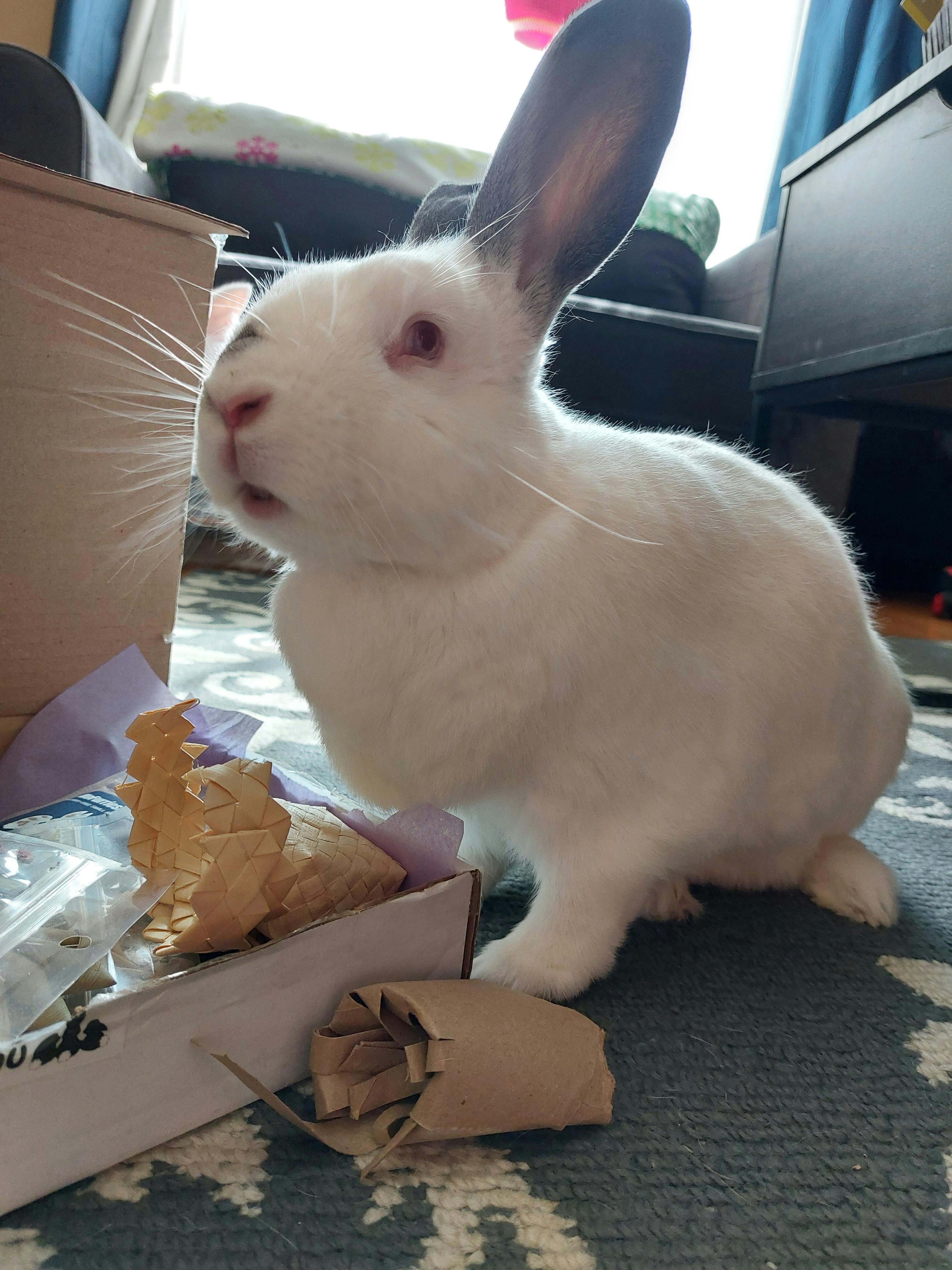 user avatar image for Amanda