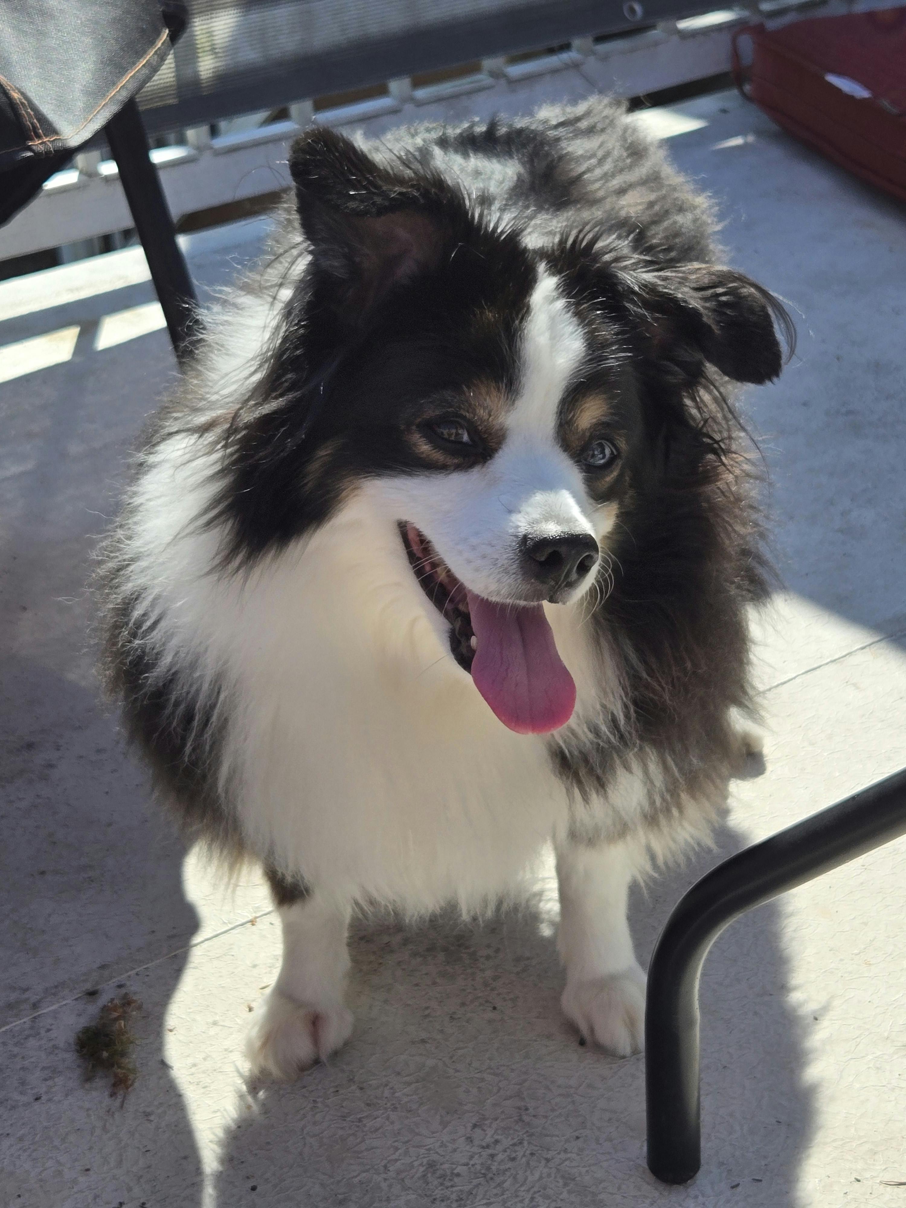 user avatar image for Keressa