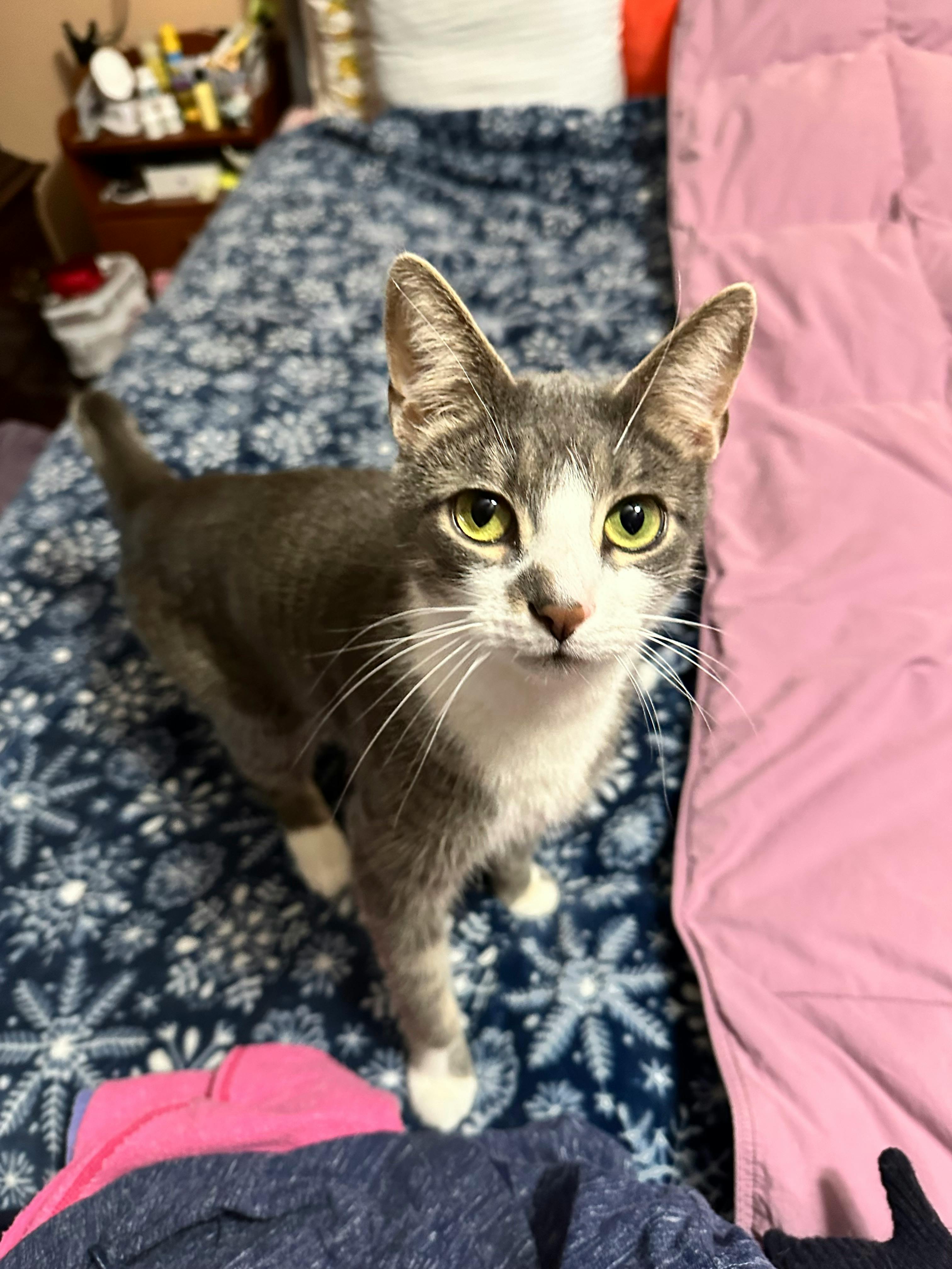 user avatar image for Vikki Haslett