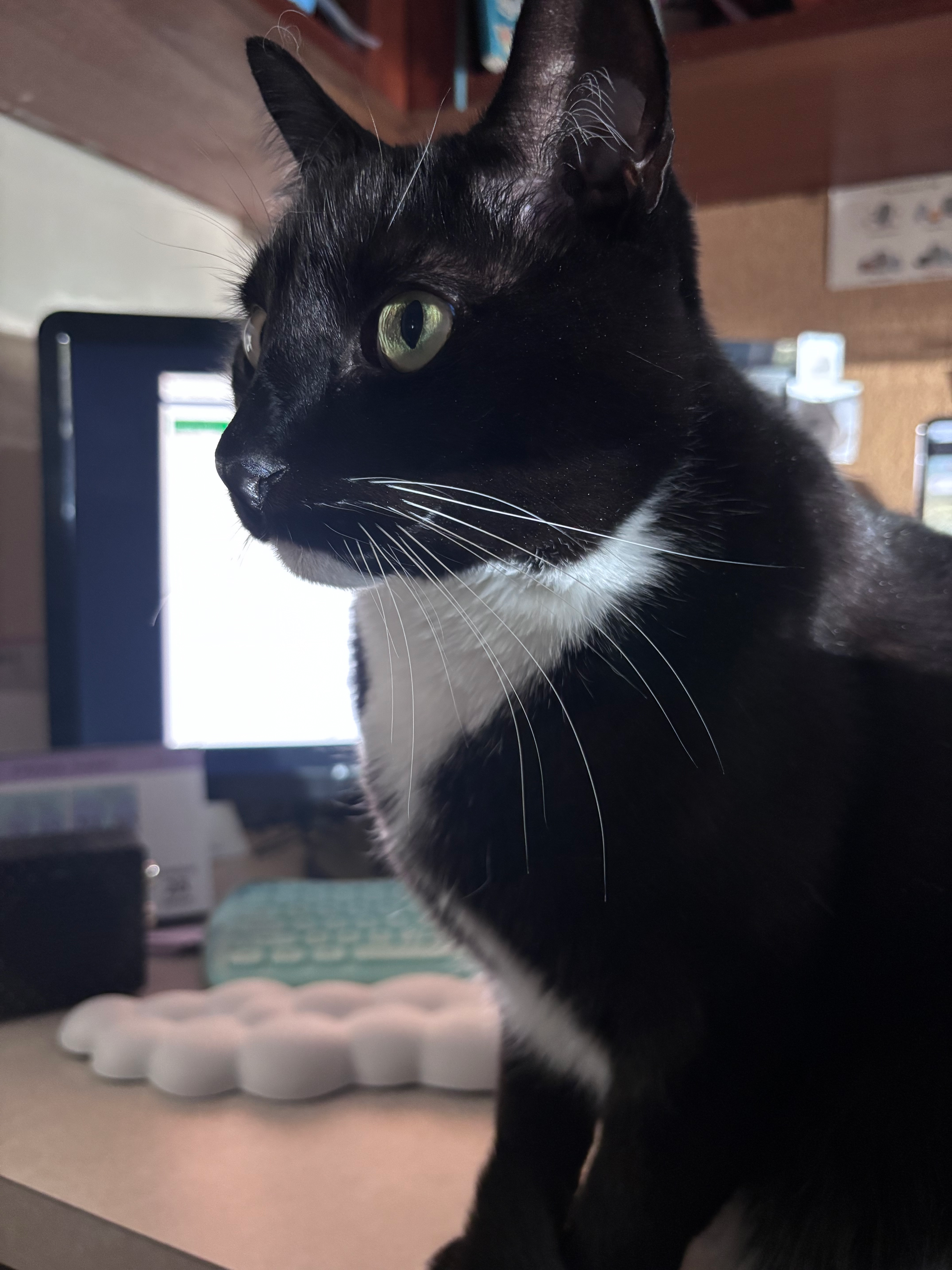 user avatar image for Brianna