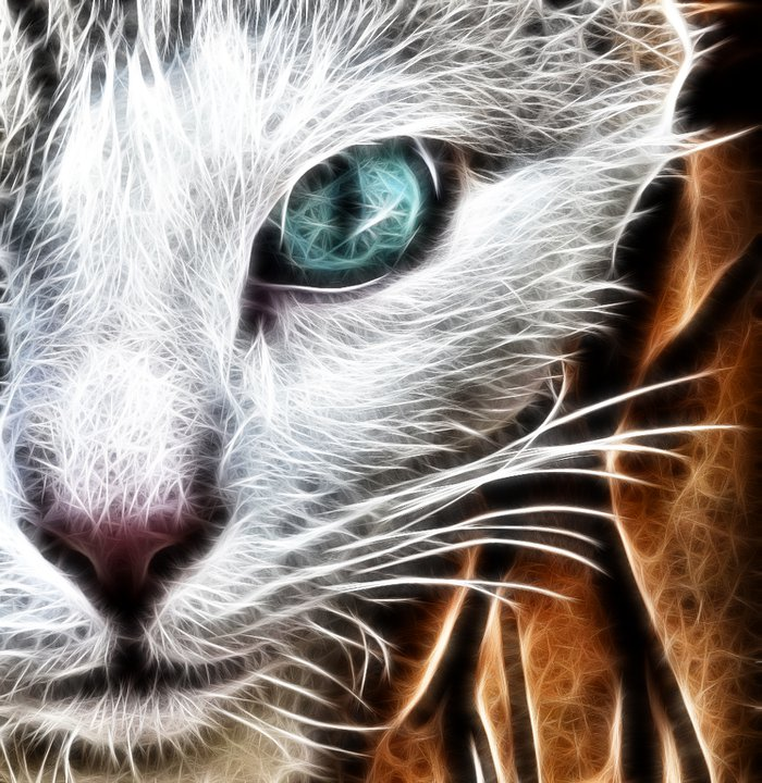 user avatar image for Mika lotus