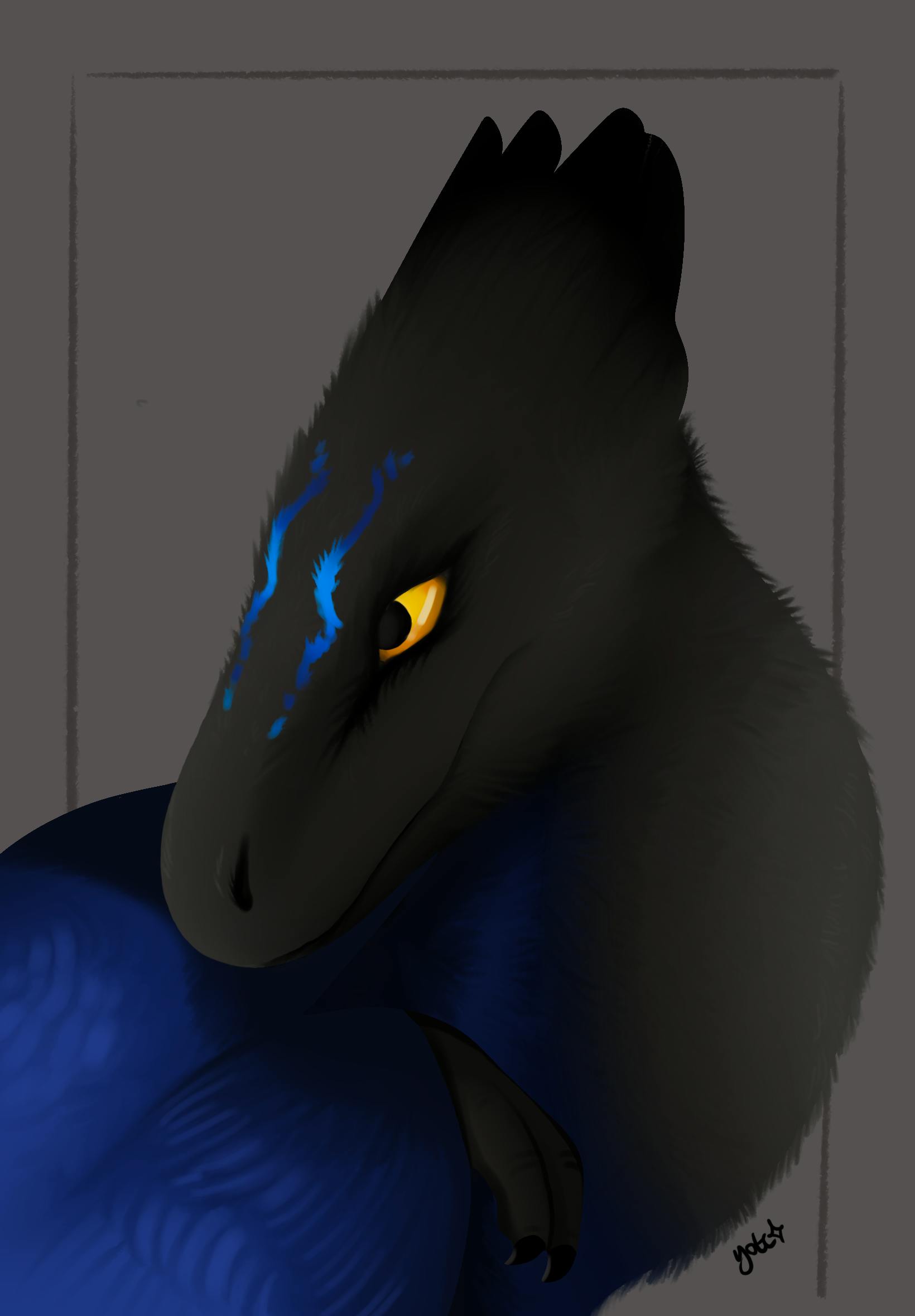 user avatar image for Coyote