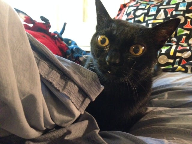 user avatar image for Jeffrey Maynard