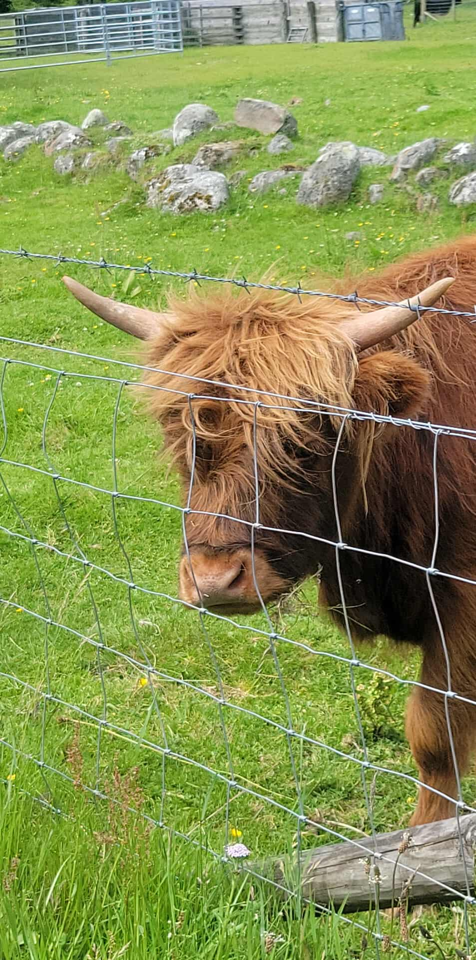 user avatar image for BlumTFM