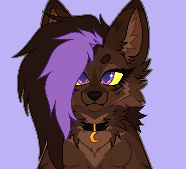 user avatar image for Max